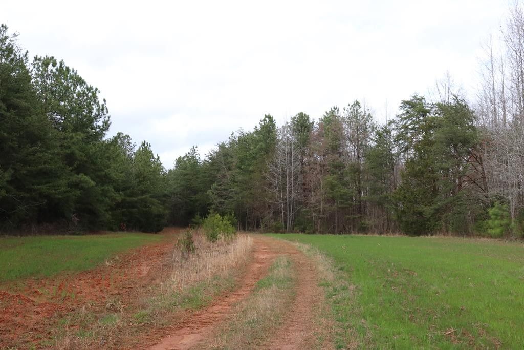 Amelia, Amelia County, VA Undeveloped Land for sale Property ID