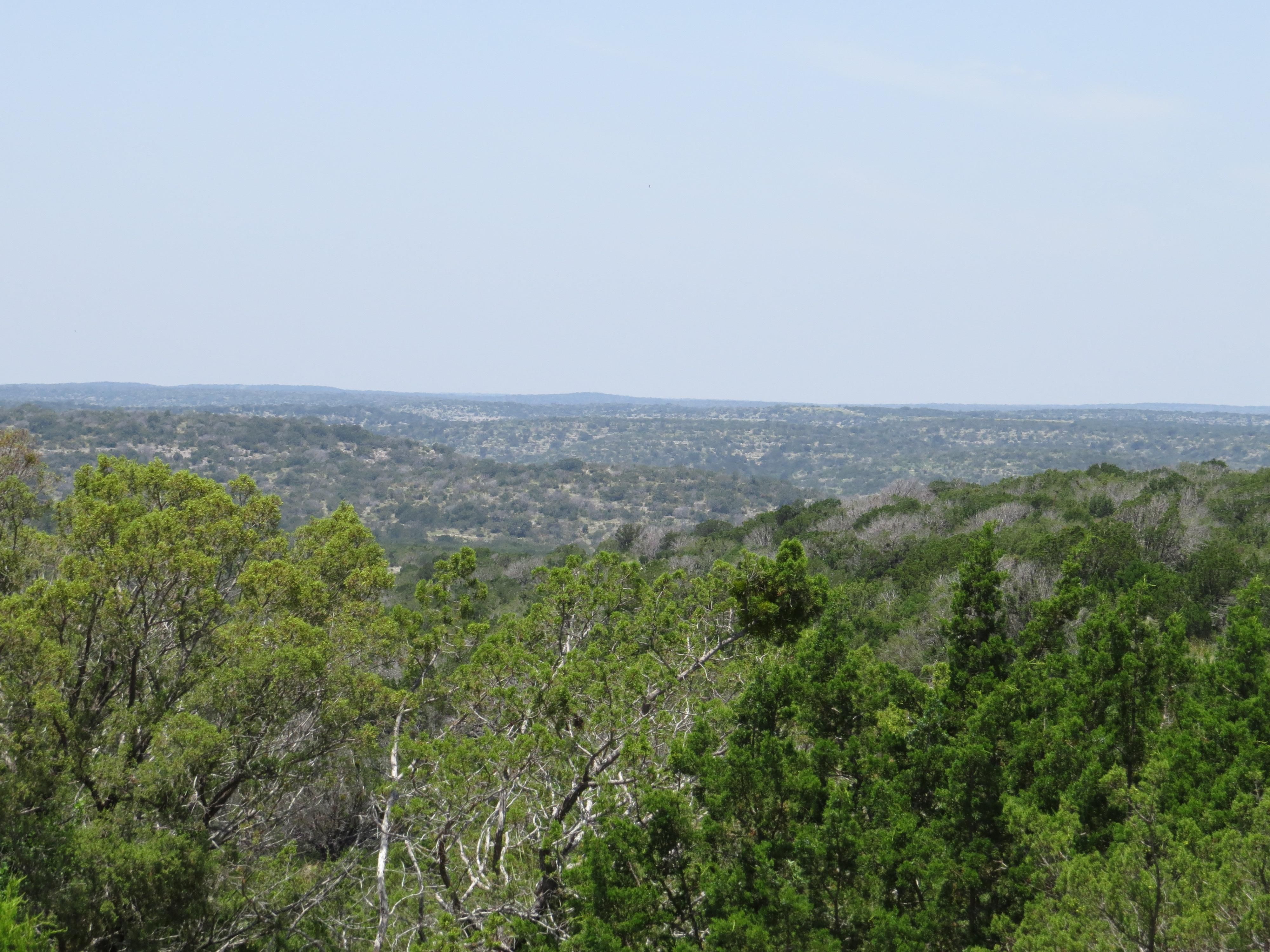 HWY 277, Loma Alta, TX 78840 MLS DCRW 9 LandWatch