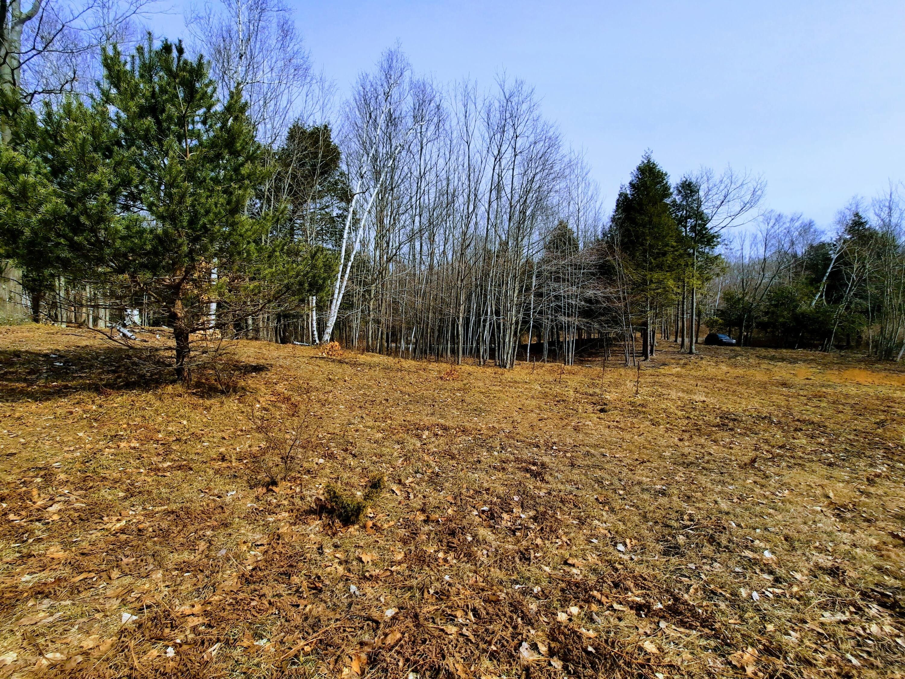 Onekama, Manistee County, MI Undeveloped Land, Homesites for sale