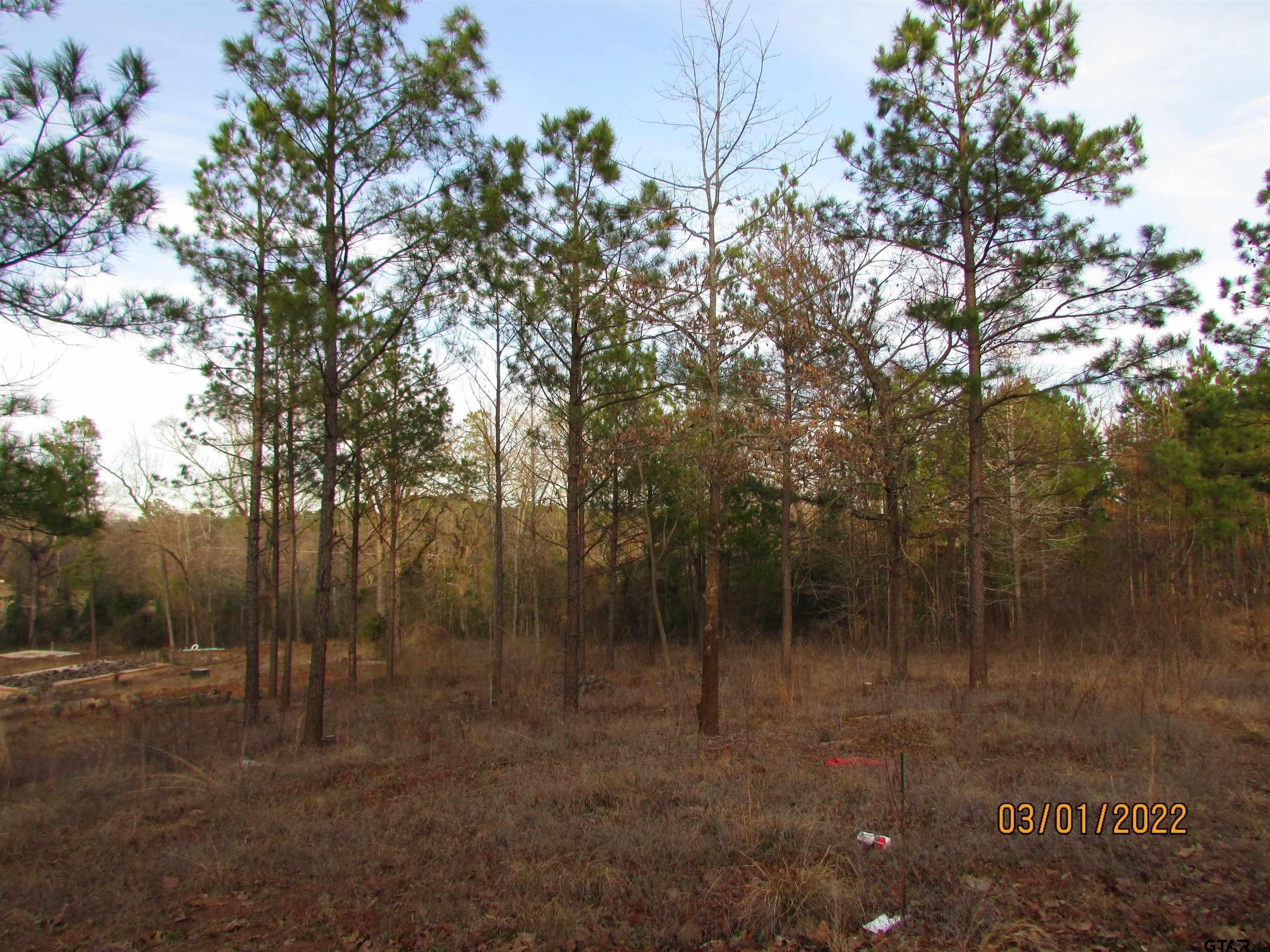 Tyler, Smith County, TX Undeveloped Land, Homesites for sale Property