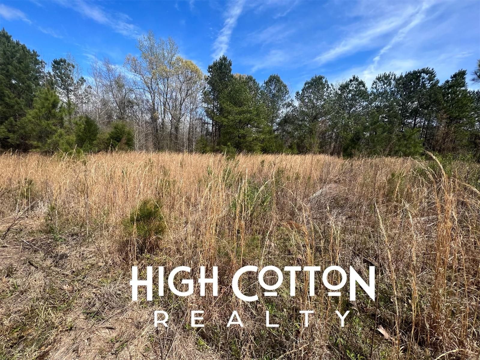 Highway 12, Durant, MS 39063 LandWatch