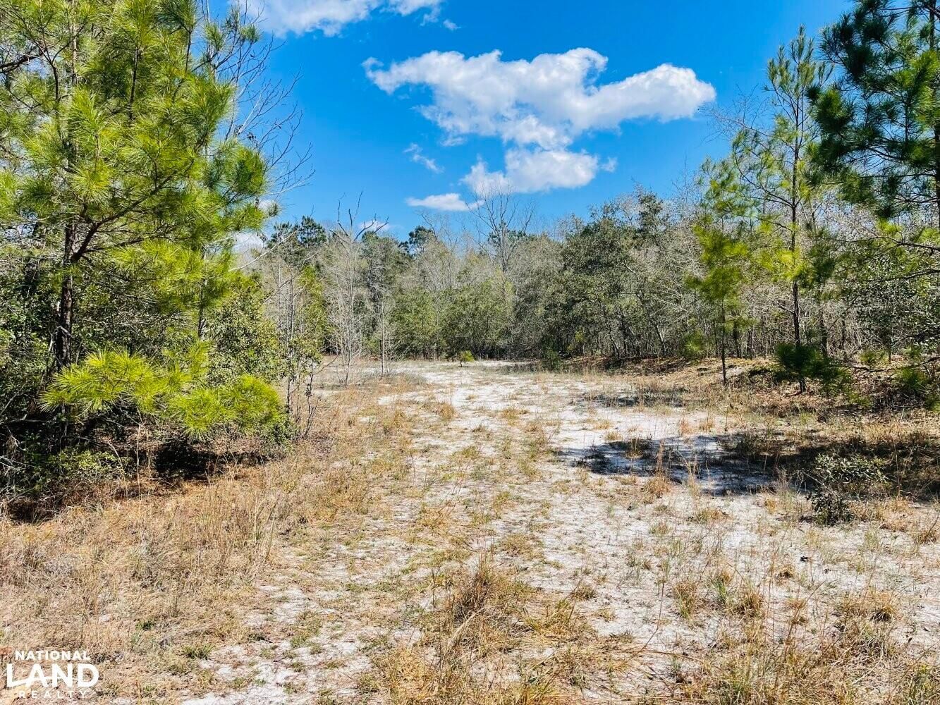 Shallotte, Brunswick County, NC Recreational Property, Hunting Property