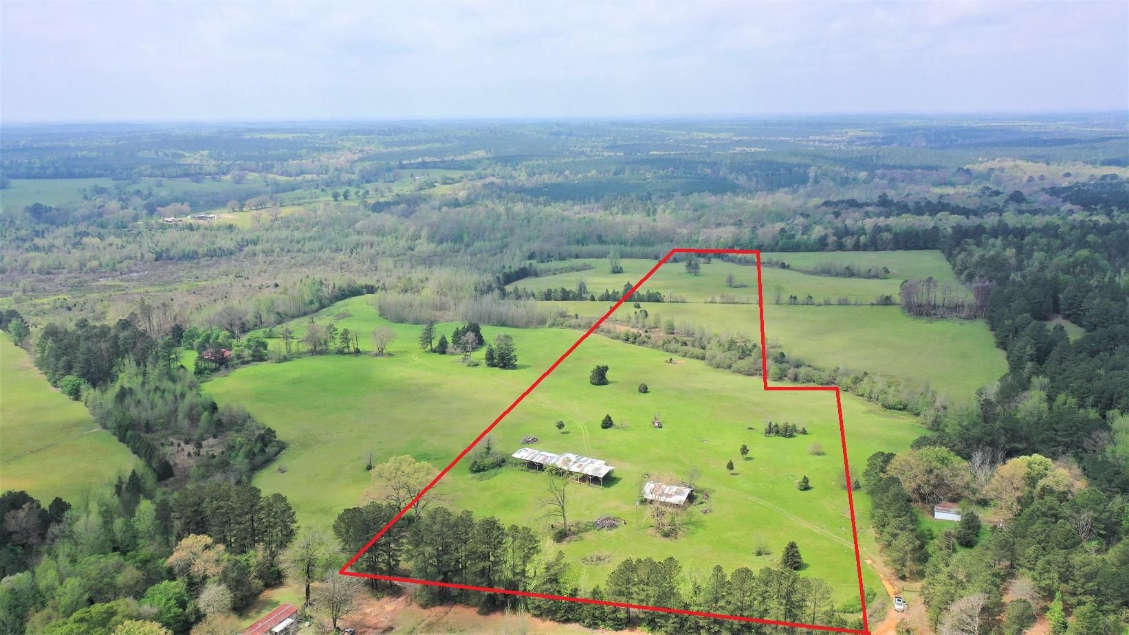 Linden, Cass County, TX Farms and Ranches, Hunting Property for sale