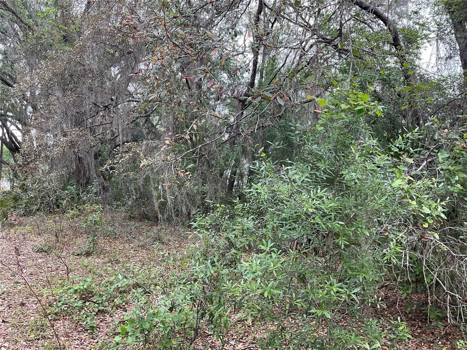 Hawthorne, Putnam County, FL Farms and Ranches, Homesites for sale