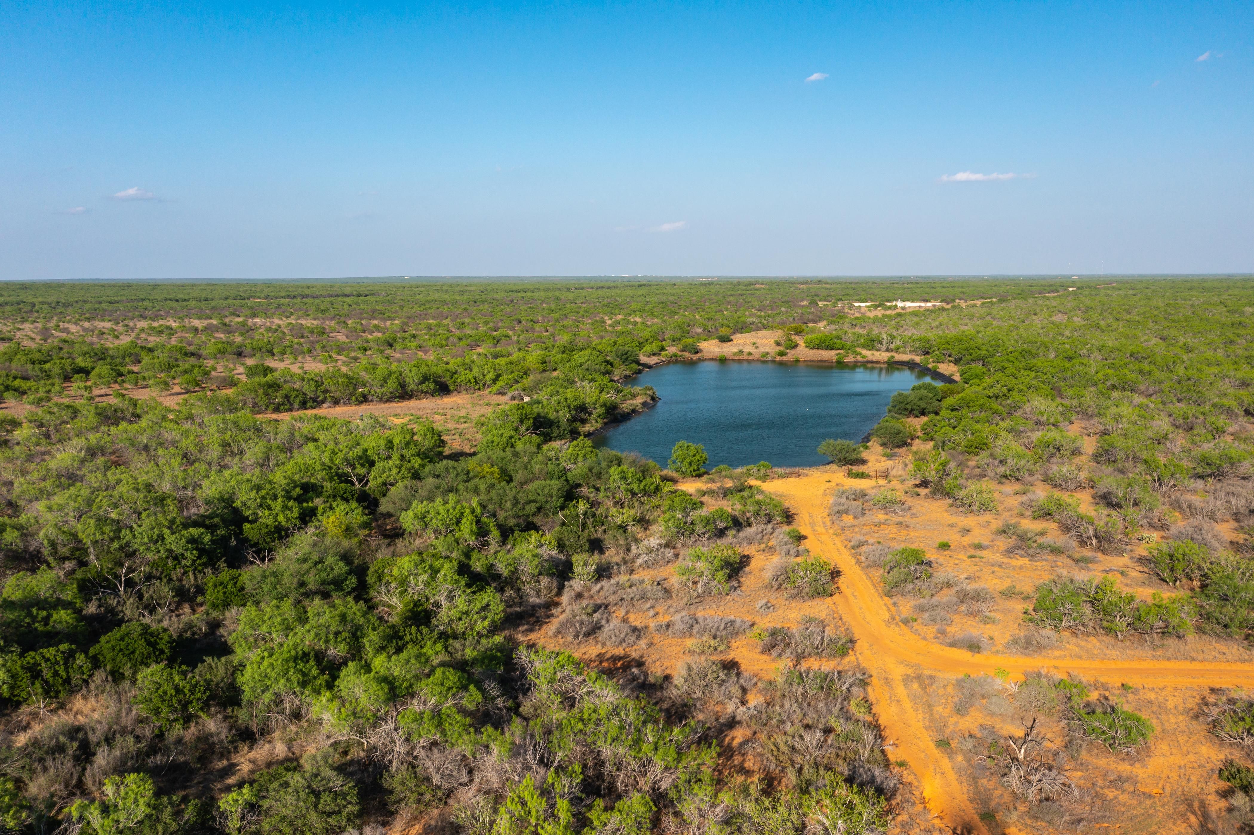 2,908 acres in Artesia Wells, TX, 78001 LandWatch