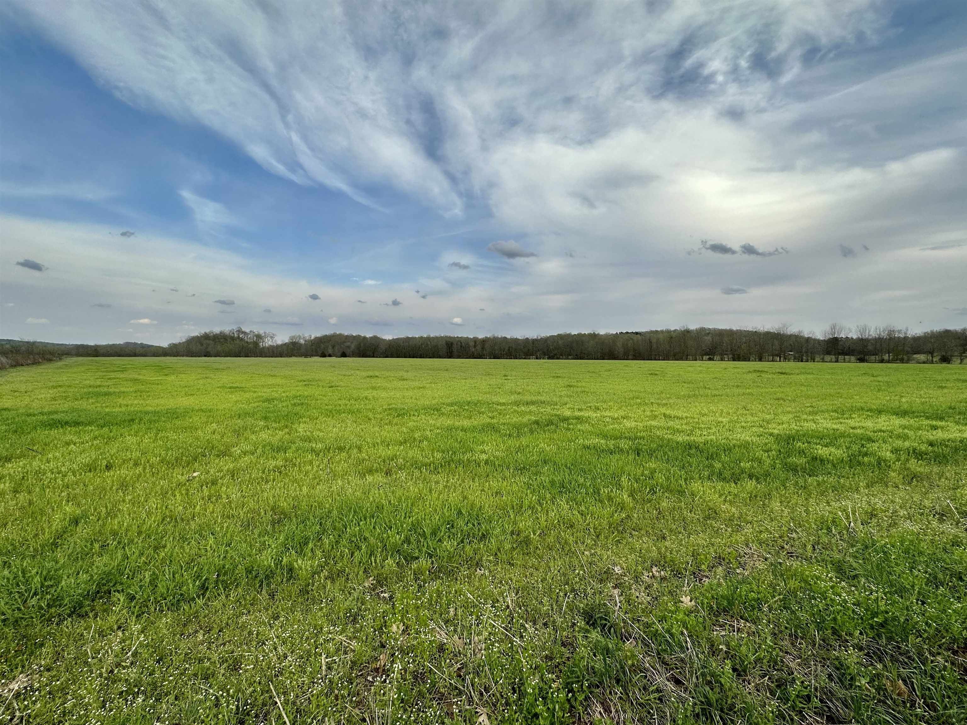 Clifton, Wayne County, TN Farms and Ranches for sale Property ID
