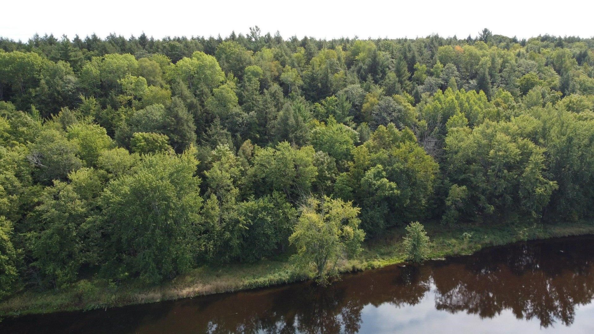 Athelstane, County, WI Undeveloped Land for sale Property ID