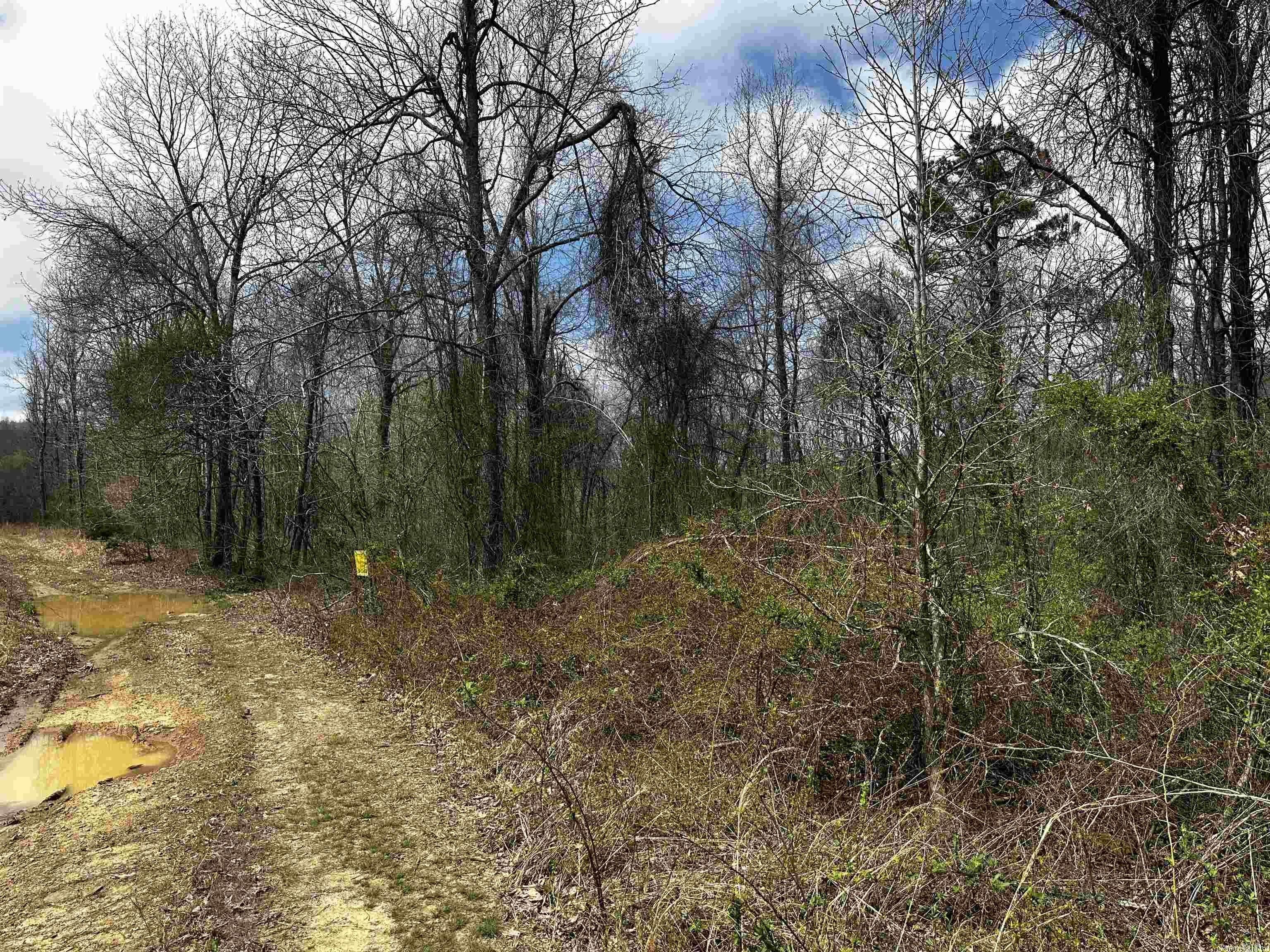 Dennard, Van Buren County, AR Farms and Ranches for sale Property ID