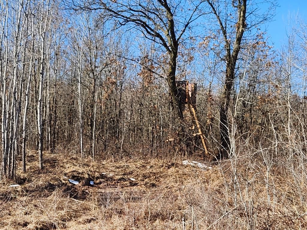 Koval Road, Lyndon Station, WI 53944 MLS 22230981 LandWatch