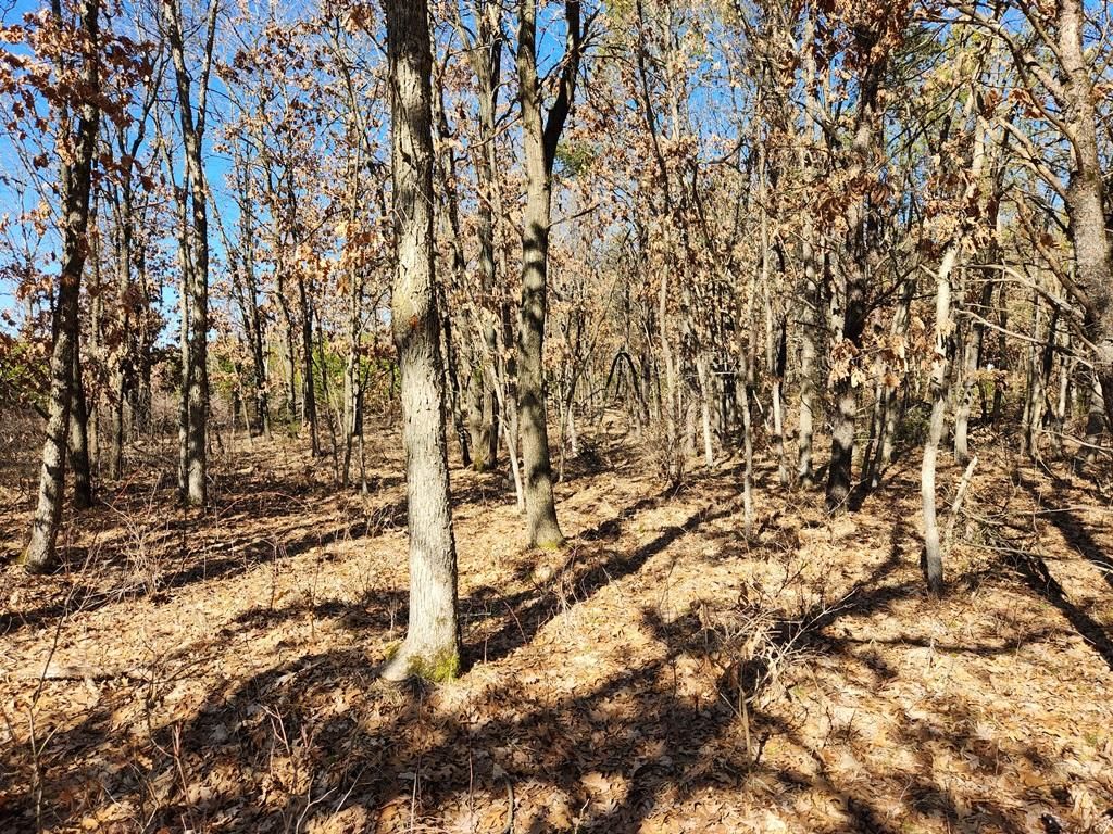 Koval Road, Lyndon Station, WI 53944 MLS 22230982 LandWatch