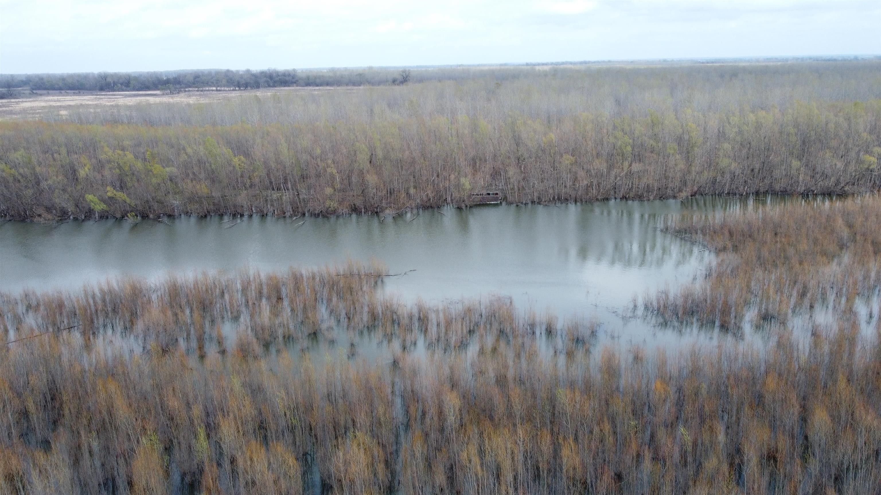Tiptonville, Lake County, TN Farms and Ranches for sale Property ID