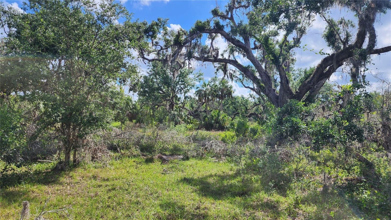 Arcadia, DeSoto County, FL Farms and Ranches for sale Property ID