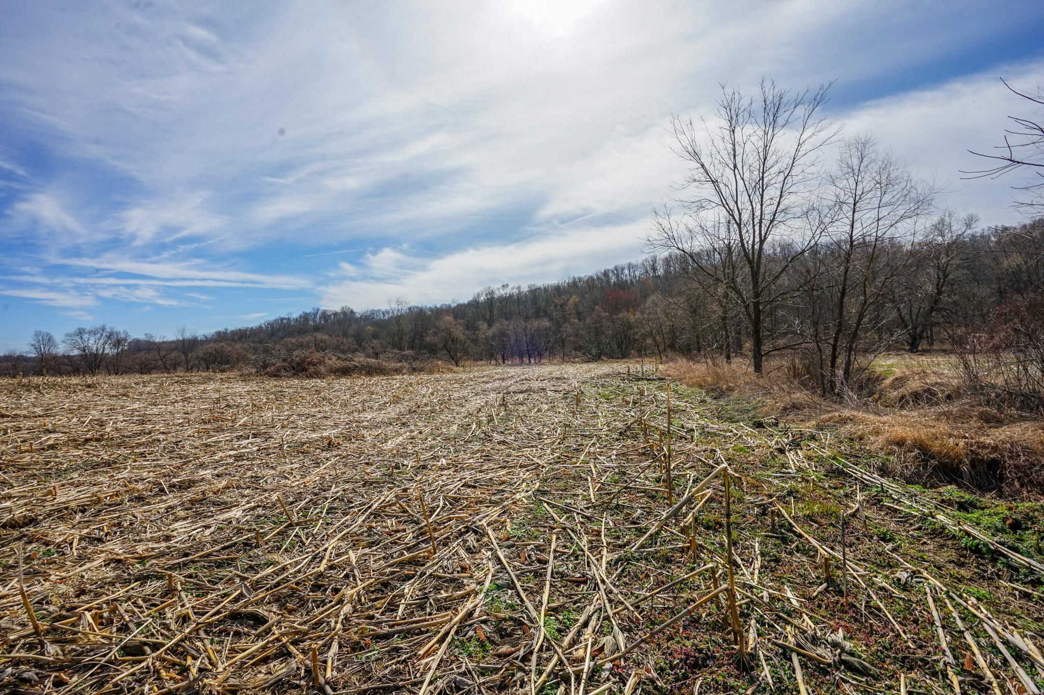 Adamsville, Muskingum County, OH Farms and Ranches for sale Property ID