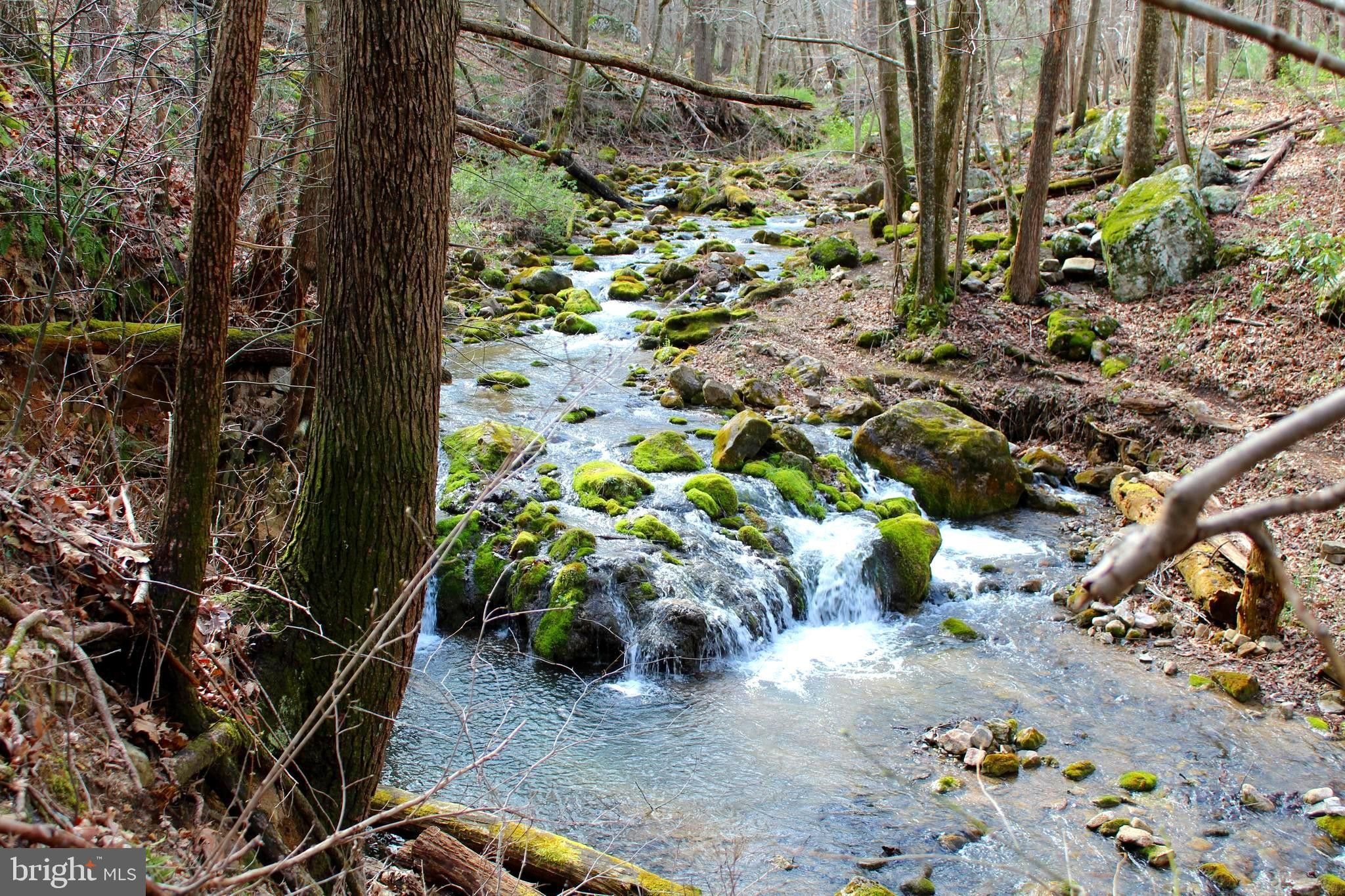 Moorefield, Hardy County, WV Farms and Ranches, Lakefront Property