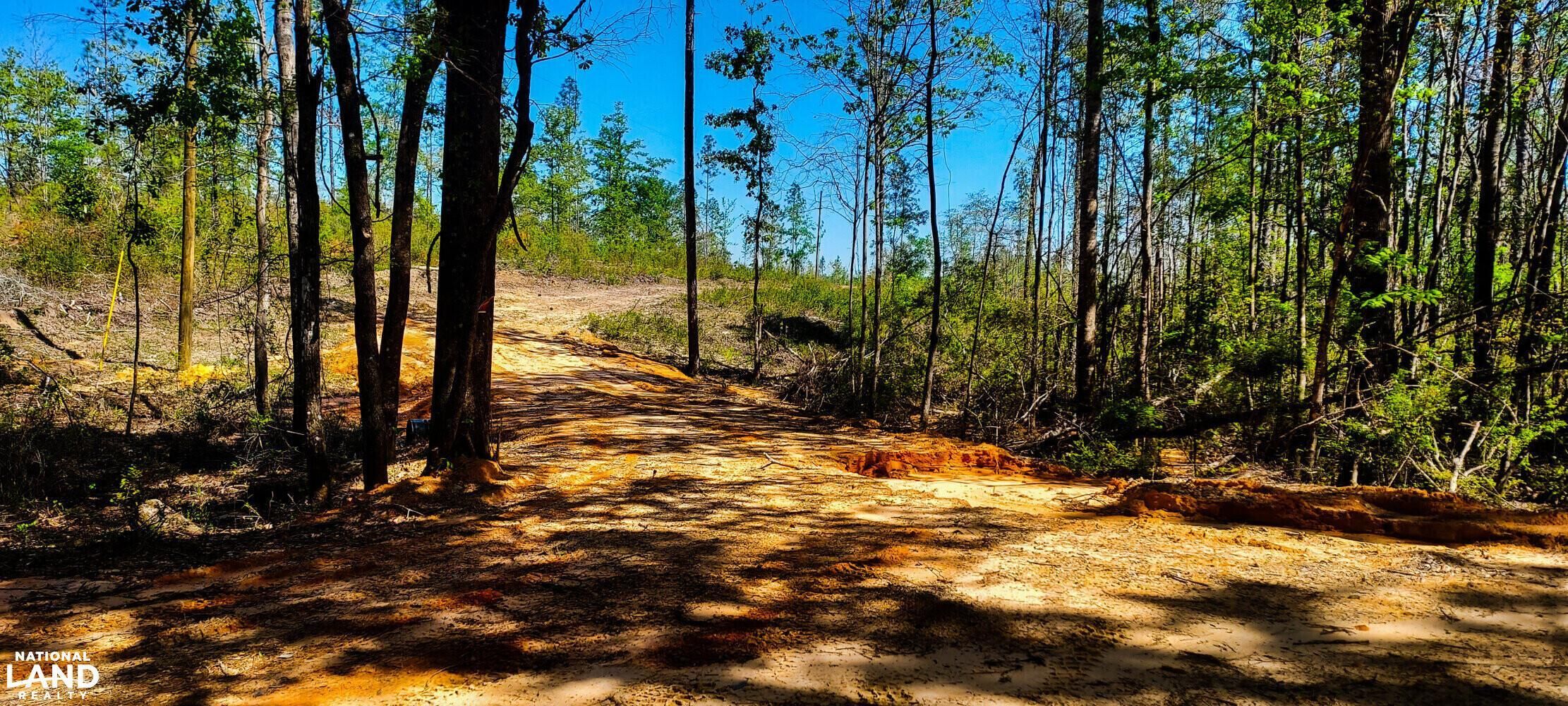 Chunchula, Mobile County, AL Recreational Property, Hunting Property