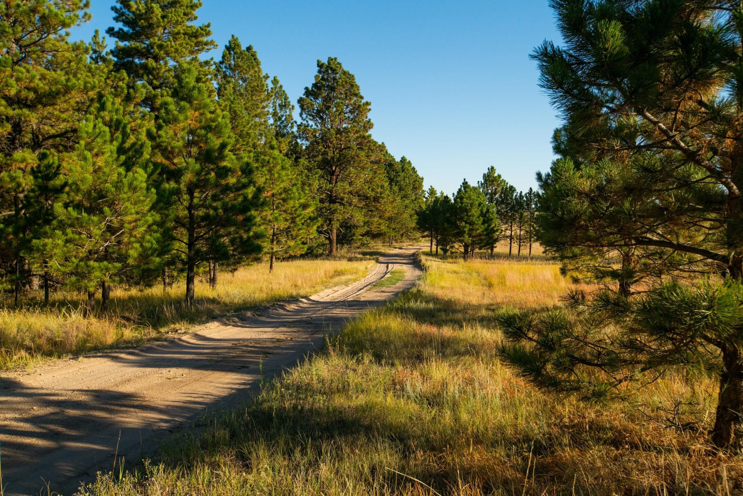 Elbert, Elbert County, CO Recreational Property, Horse Property, House