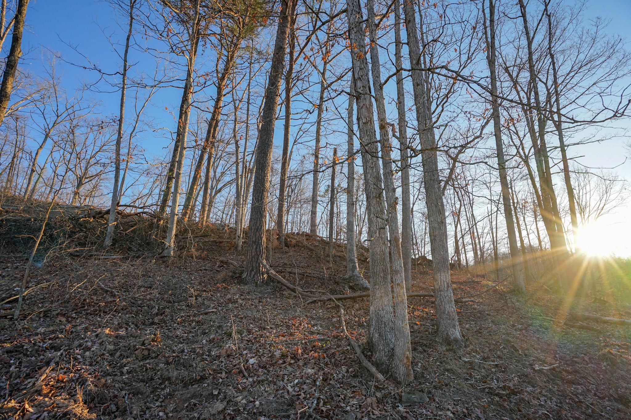 Proctorville, Lawrence County, OH Farms and Ranches for sale Property