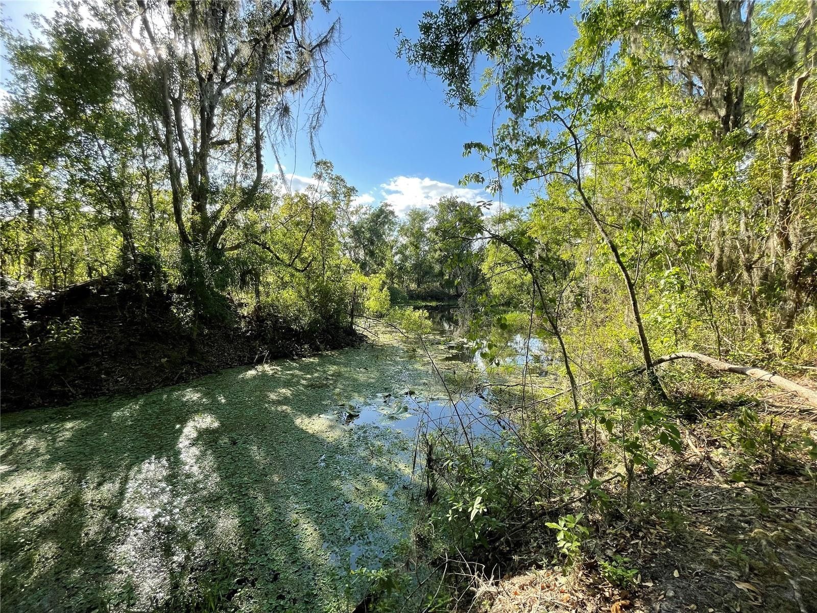 Fort Meade, Polk County, FL Farms and Ranches, Lakefront Property