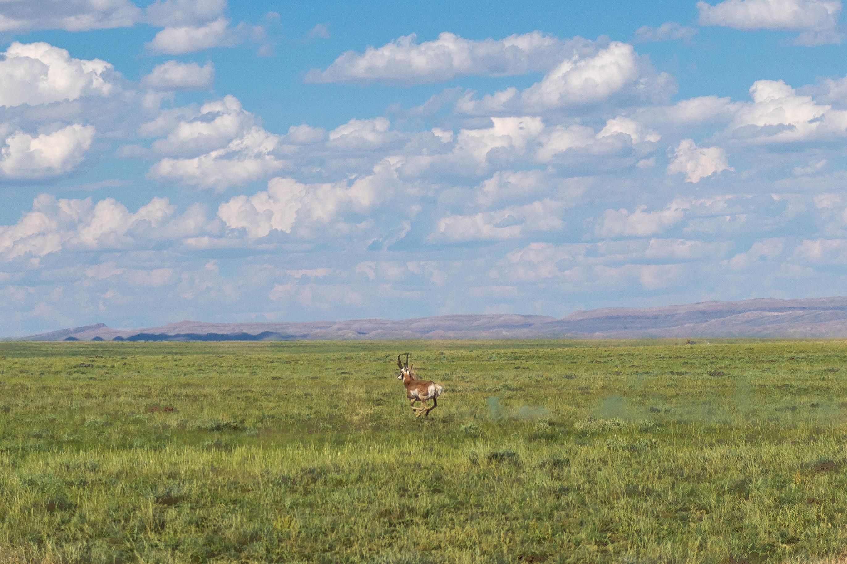 Wamsutter, Sweetwater County, WY Recreational Property, Undeveloped