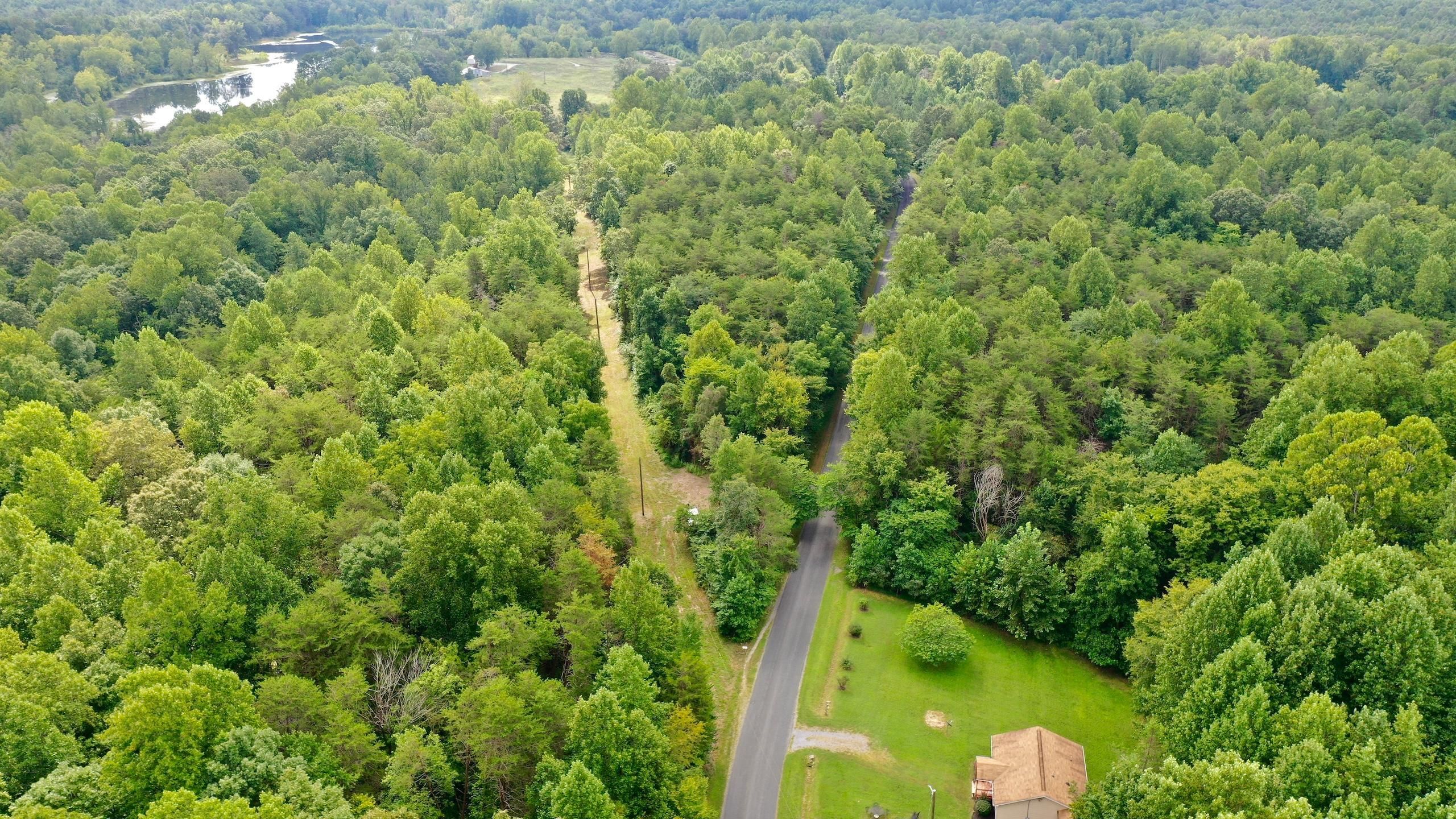 New Canton, Buckingham County, VA Recreational Property, Timberland