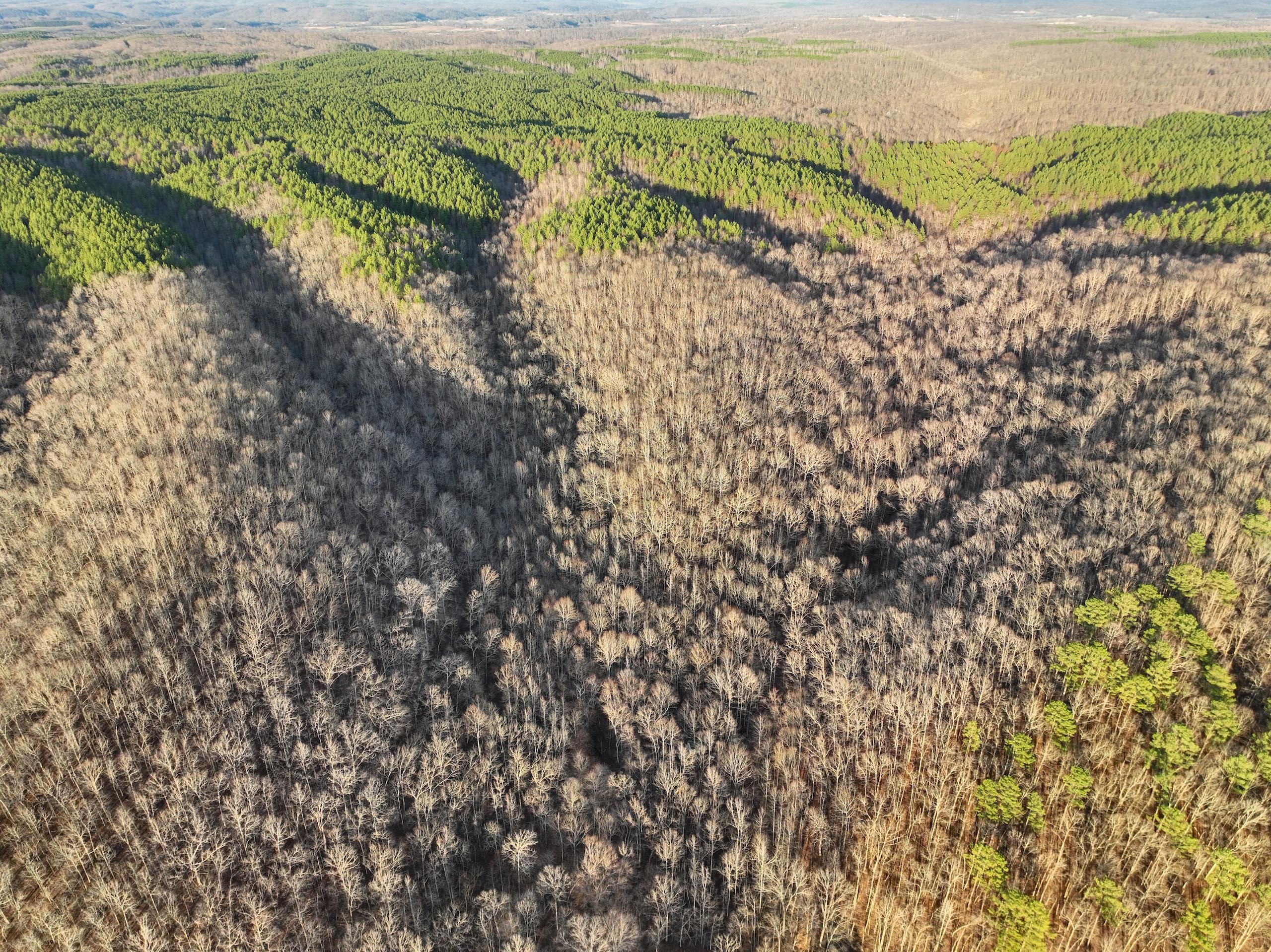 Duck River, Hickman County, TN Recreational Property, Timberland
