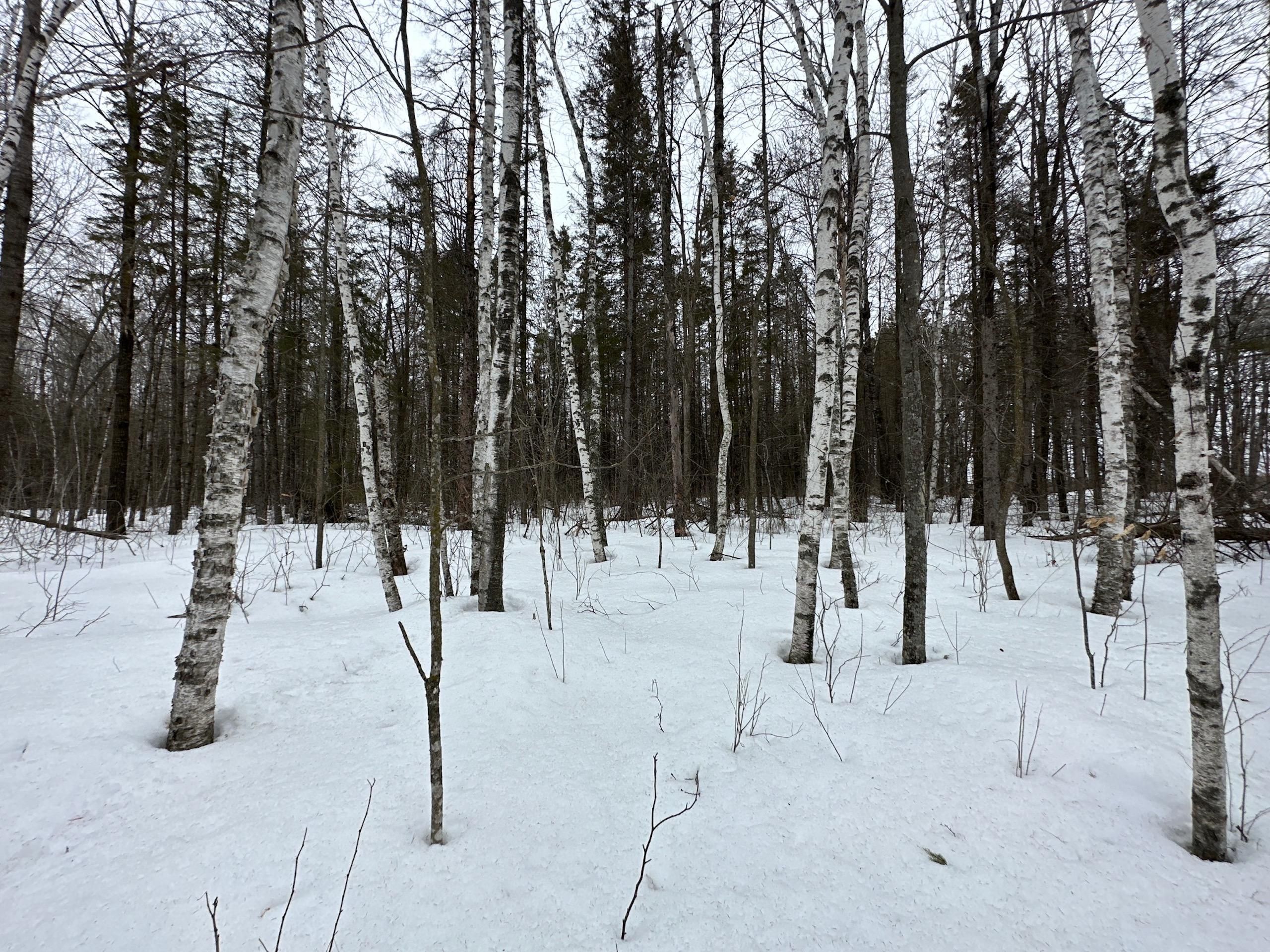 Isle, Mille Lacs County, MN Recreational Property, Hunting Property for