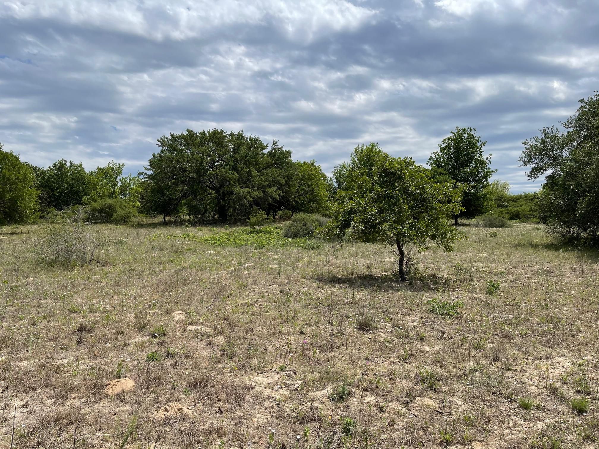 Devine, Medina County, TX Farms and Ranches, Homesites for sale