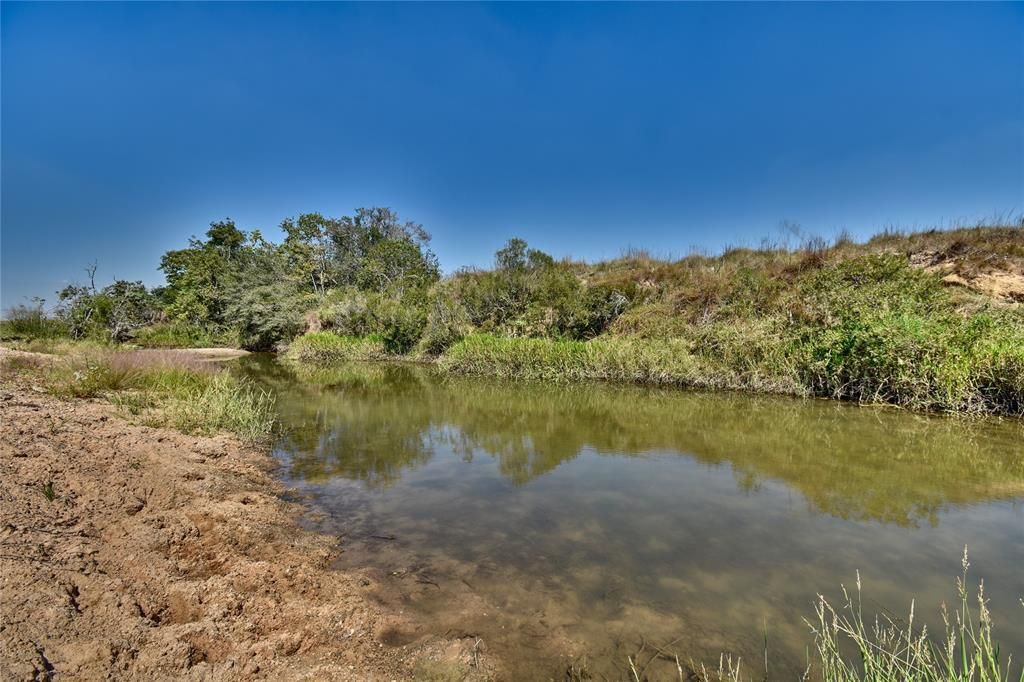 Sealy, Austin County, TX Farms and Ranches for sale Property ID