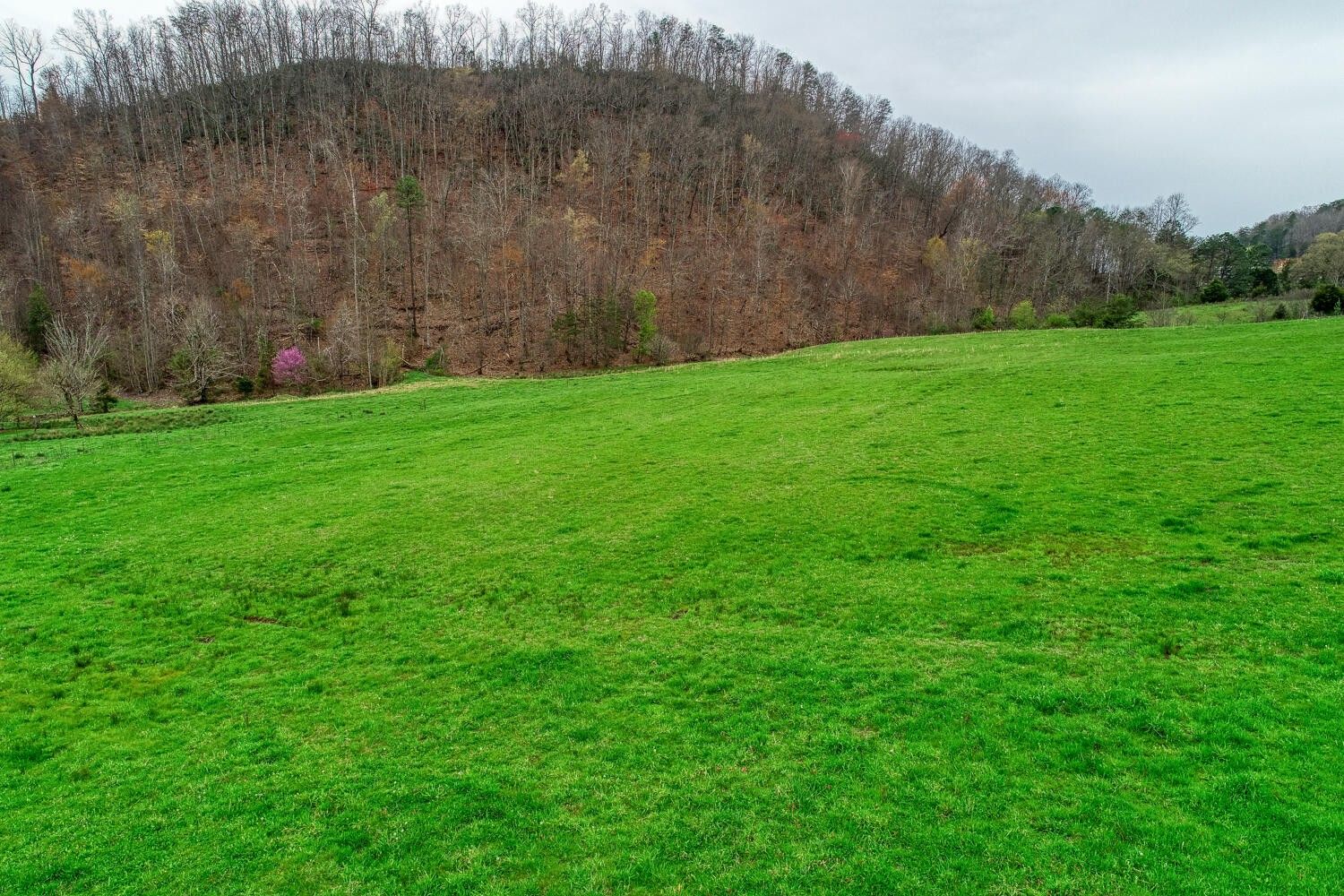 Rogersville, Hawkins County, TN Farms and Ranches for sale Property ID