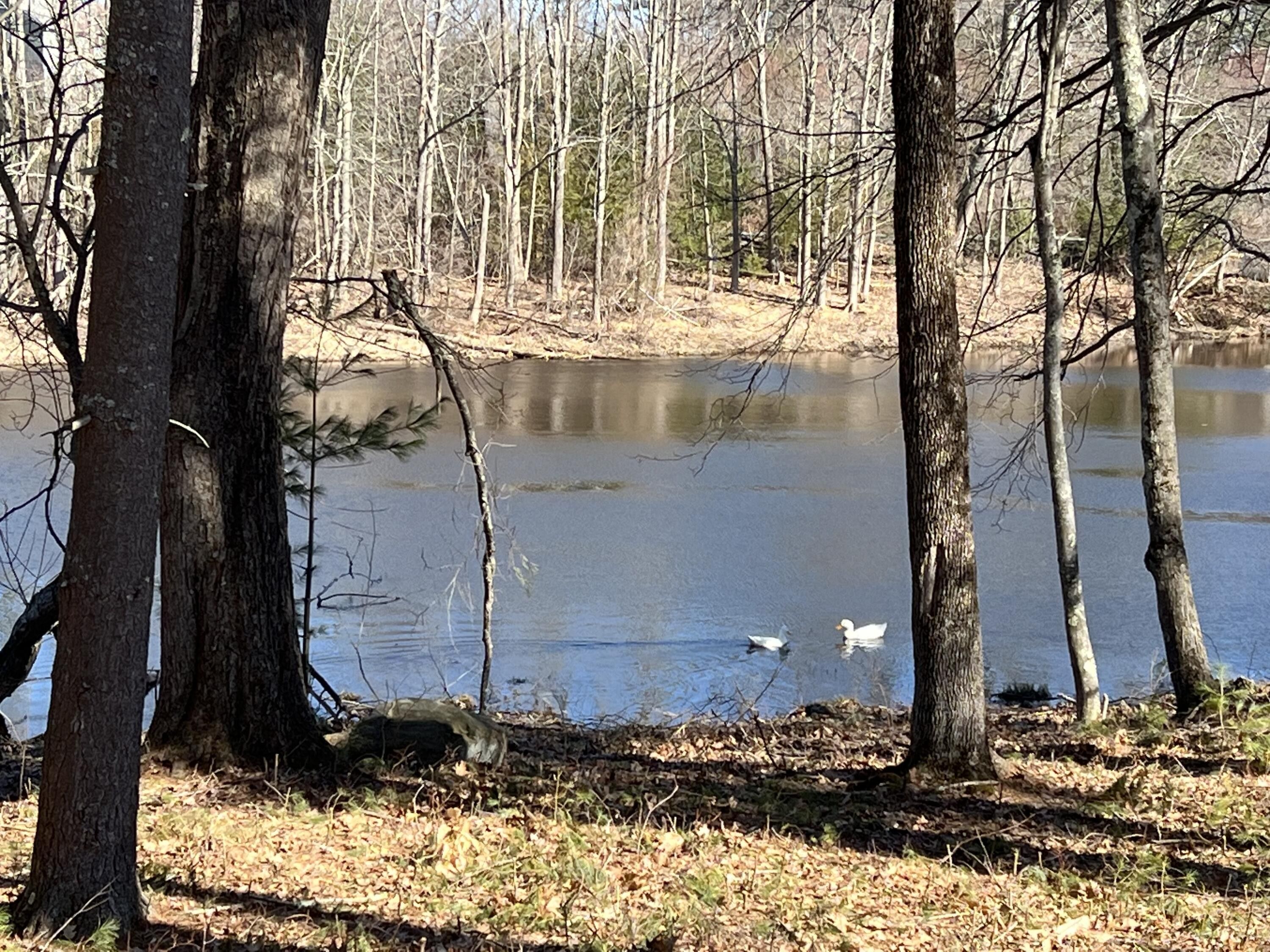 Berwick, York County, ME Undeveloped Land, Lakefront Property