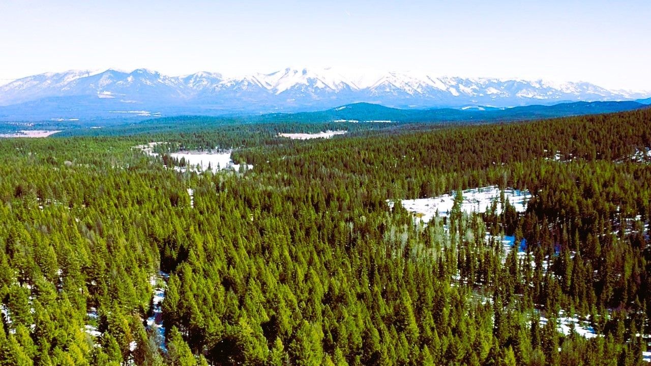 Fortine, Lincoln County, MT Undeveloped Land, Homesites for sale Property ID 416196386 LandWatch