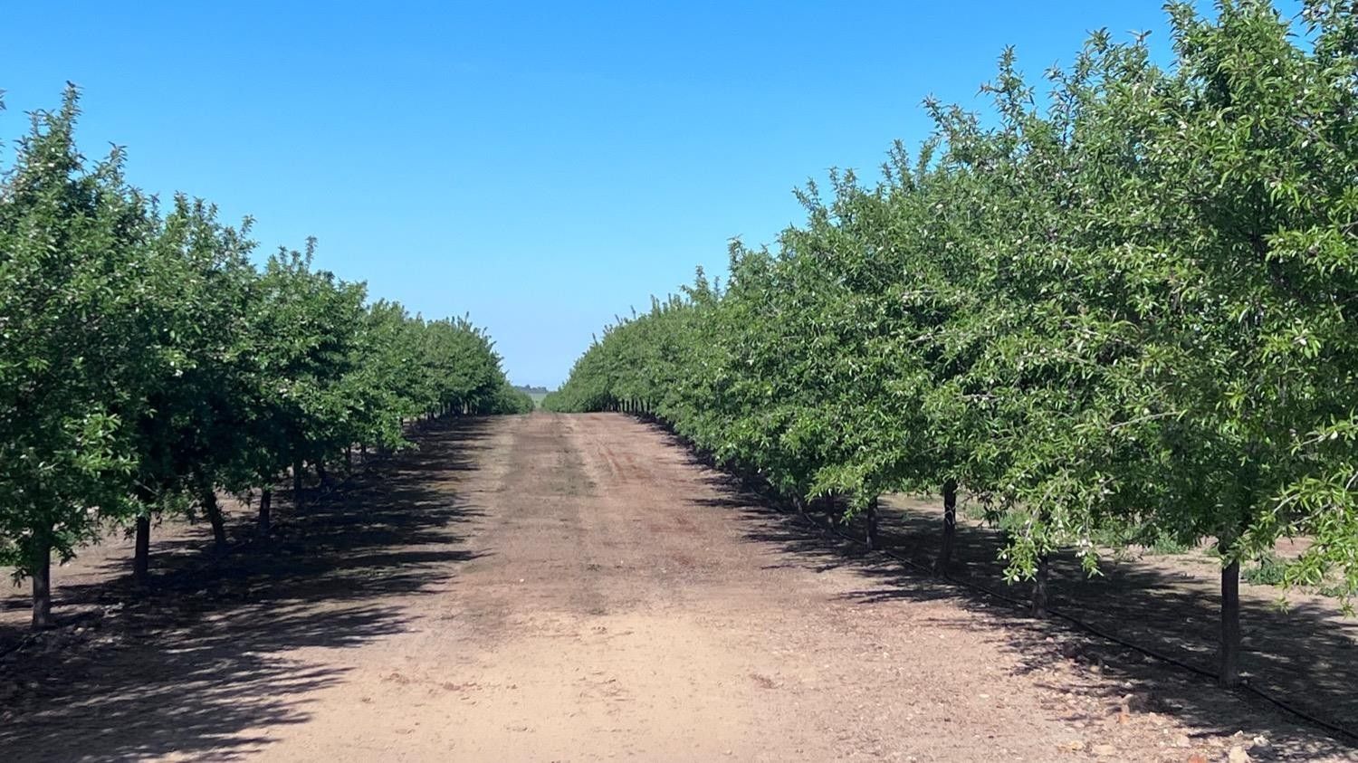 Madera, Madera County, CA Farms and Ranches for sale Property ID