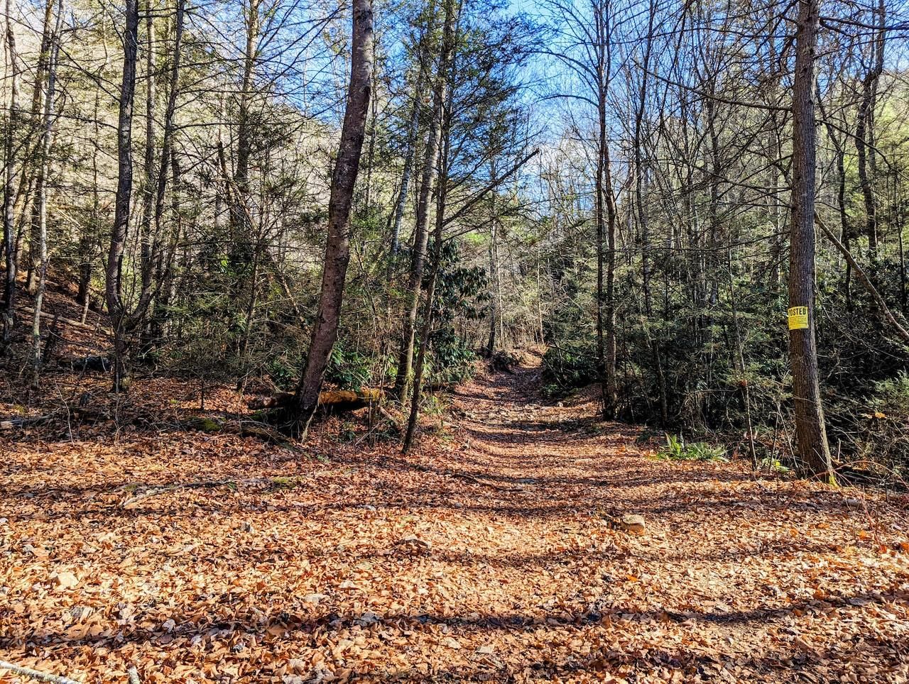 Irish Mountain Rd, Hiwassee, VA 24347 MLS 894251 LandWatch