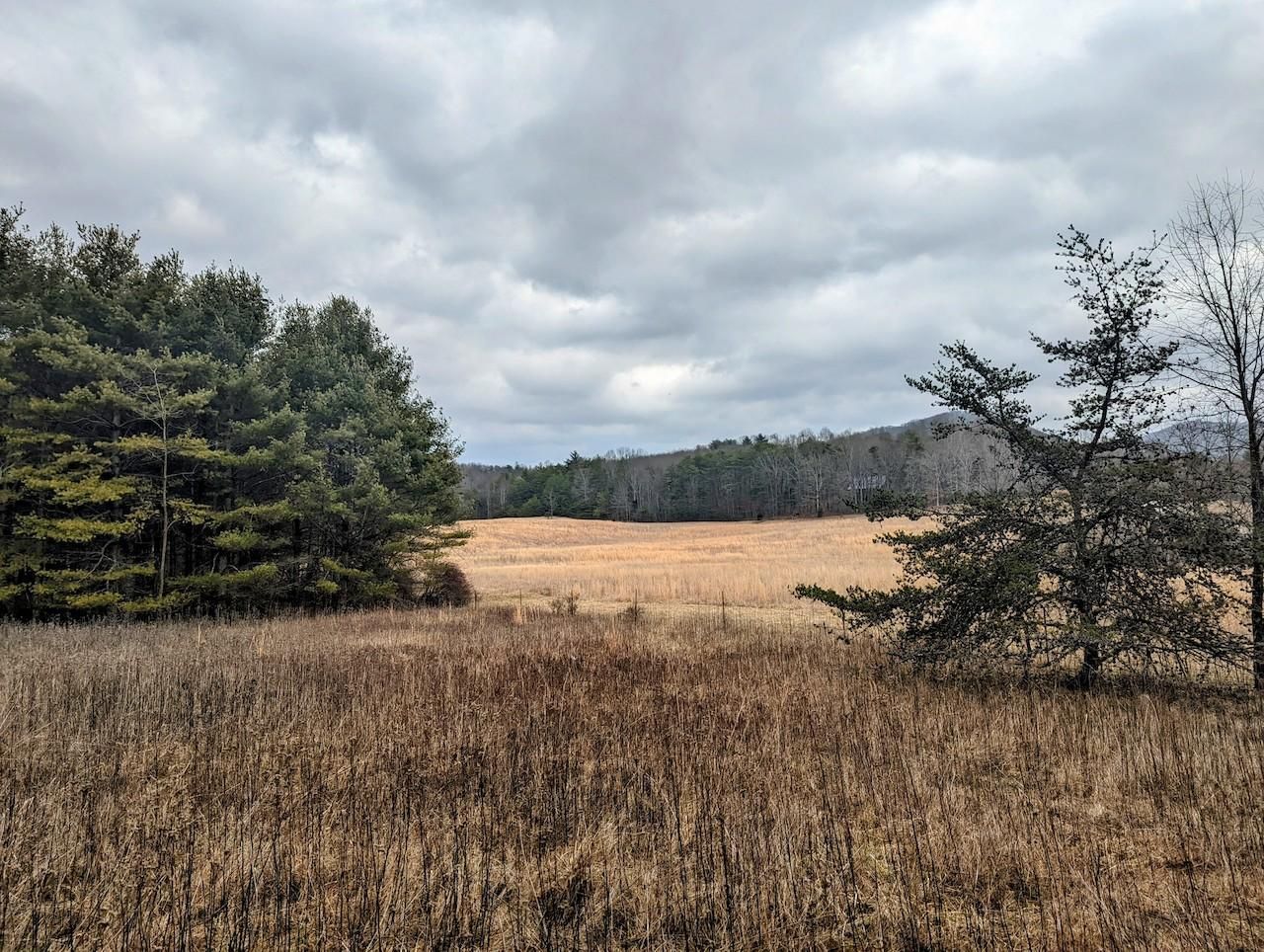 Hiwassee, Pulaski County, VA Recreational Property, Timberland Property