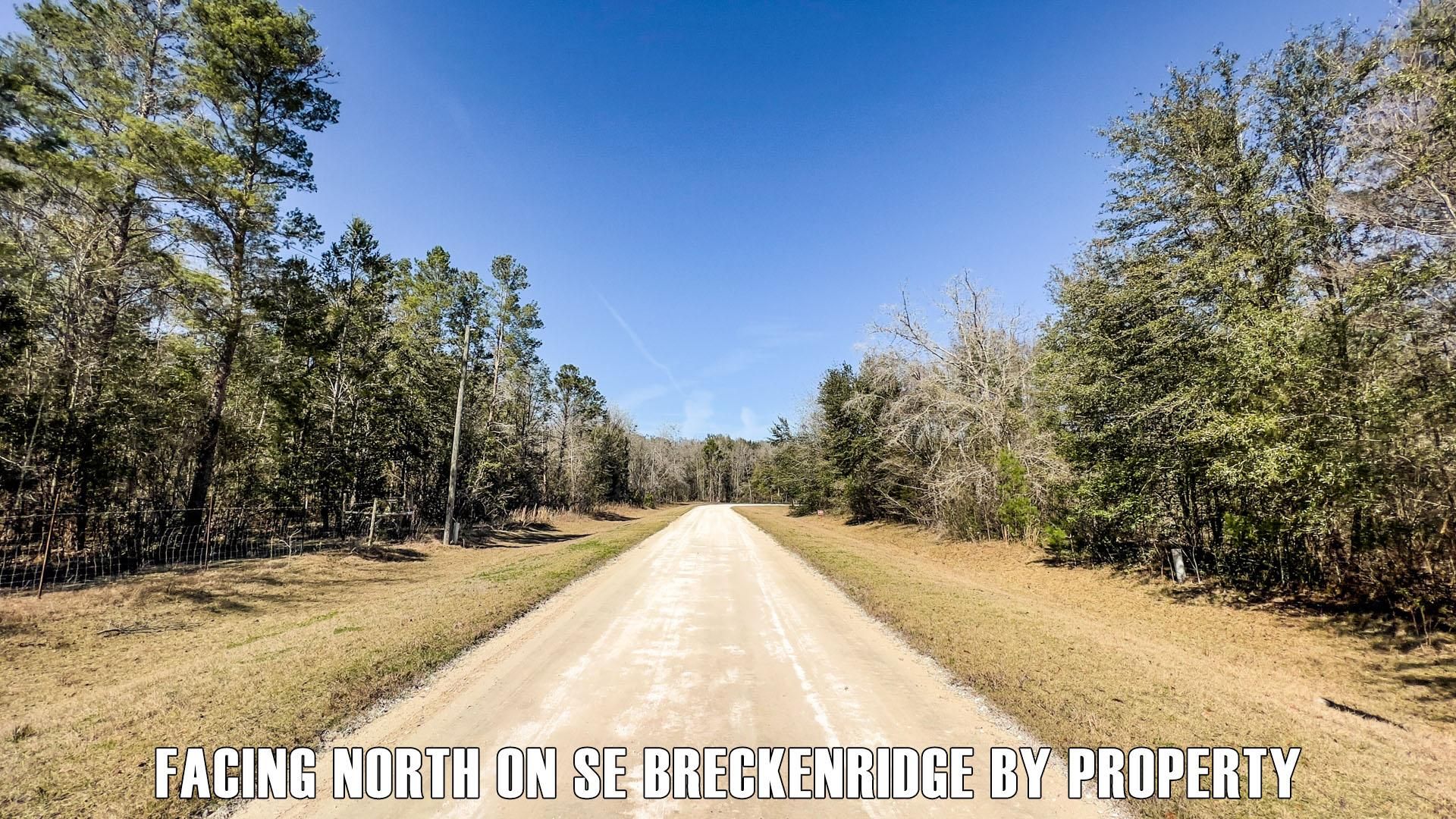 Madison, Madison County, FL Recreational Property, Undeveloped Land for