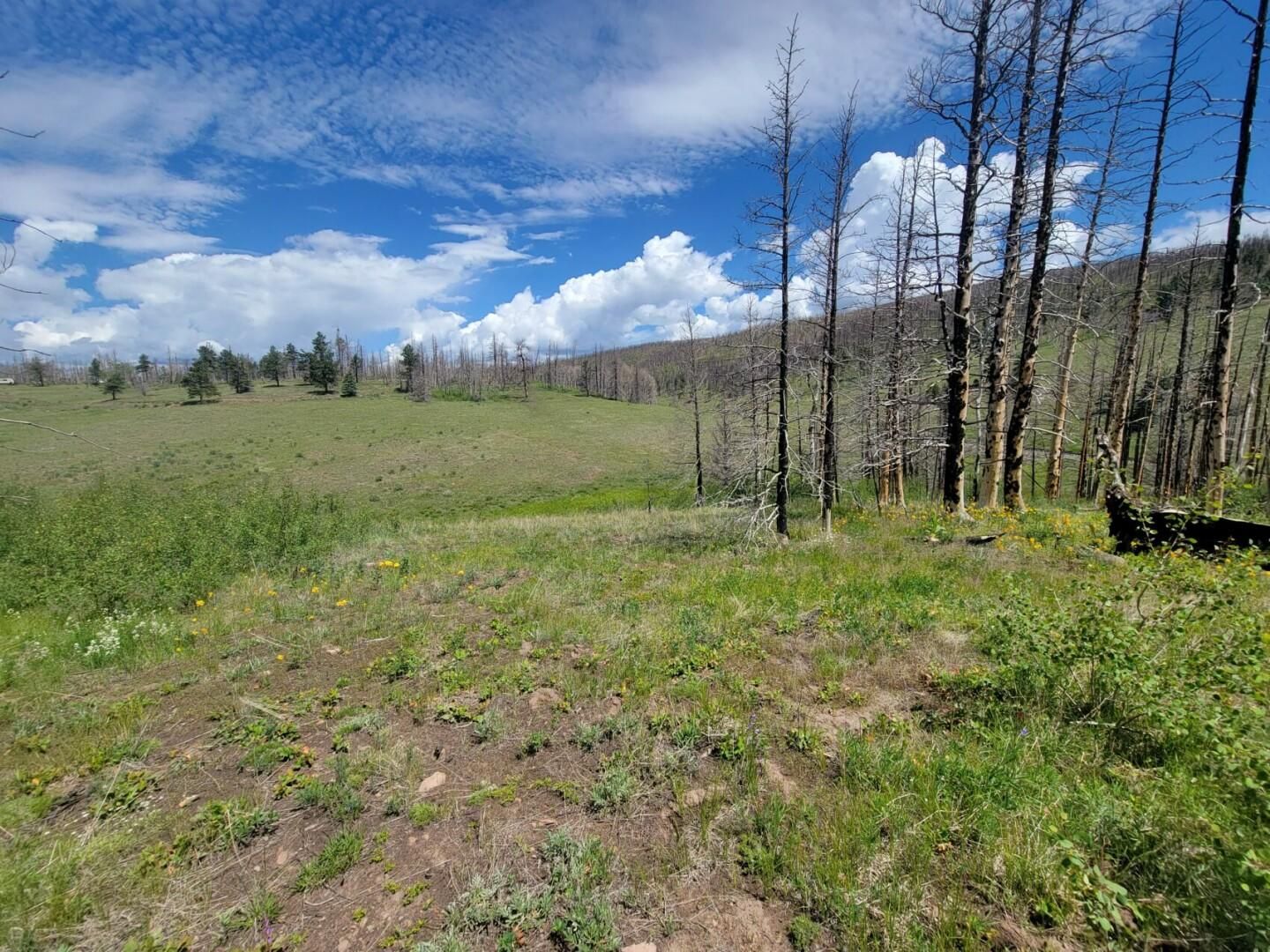 A51208, Fort Garland, CO 81133 MLS 70114570 (Lot 1539) LandWatch