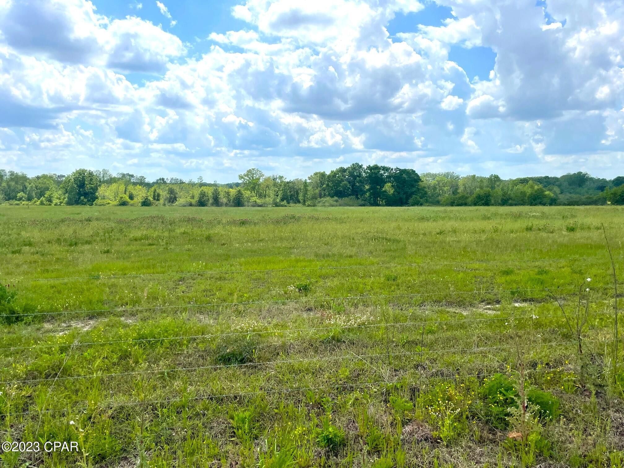 Graceville, Holmes County, FL Undeveloped Land for sale Property ID
