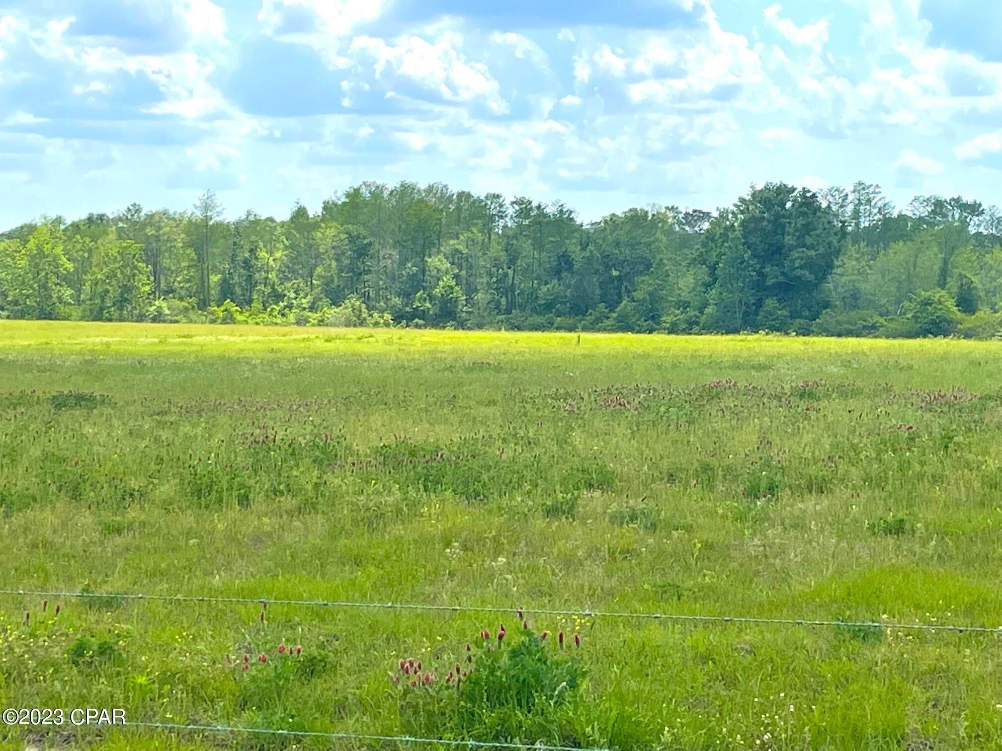 Graceville, Holmes County, FL Undeveloped Land for sale Property ID