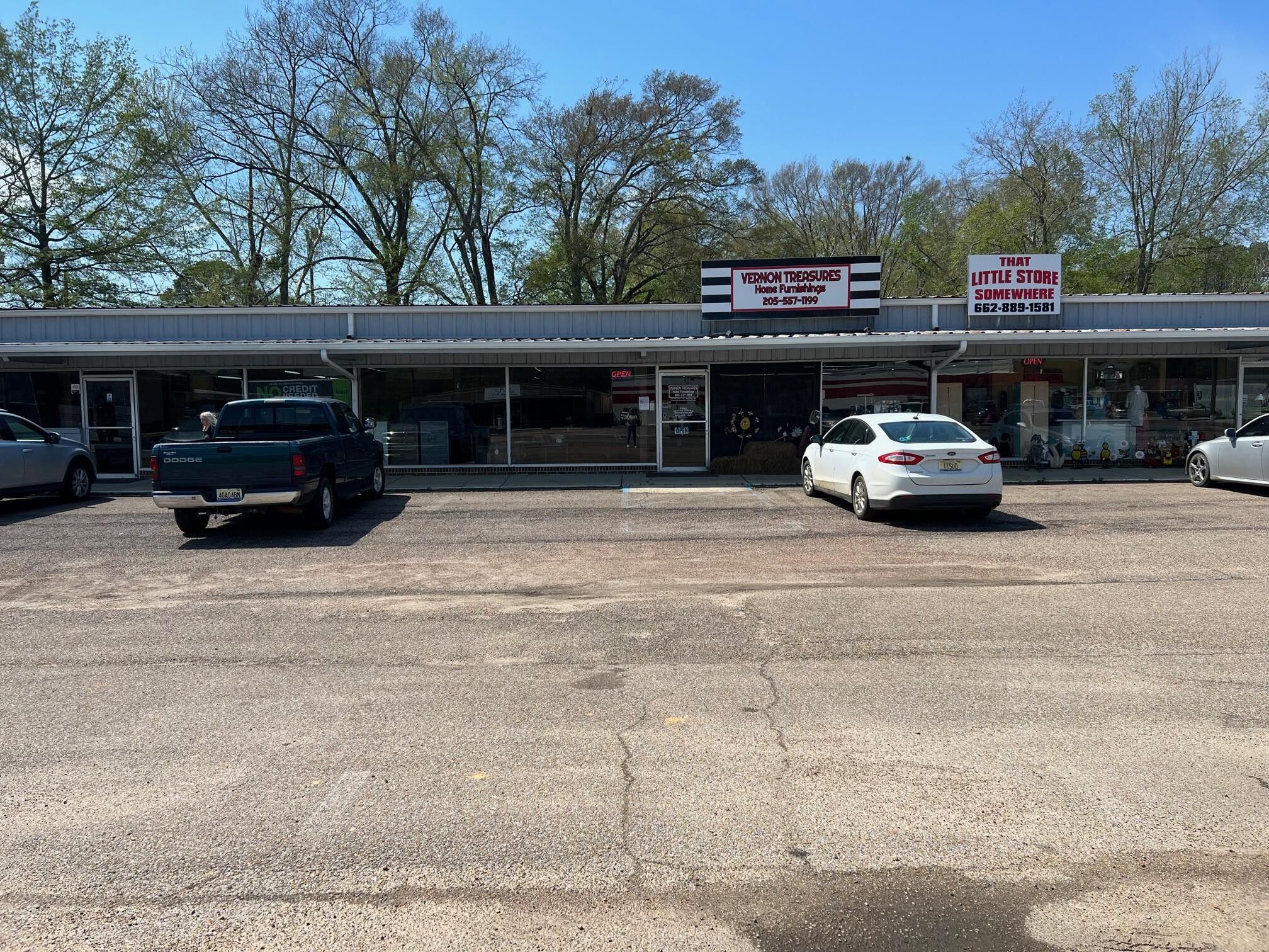 Vernon, Lamar County, AL Commercial Property, House for sale Property ID 416198773 LandWatch