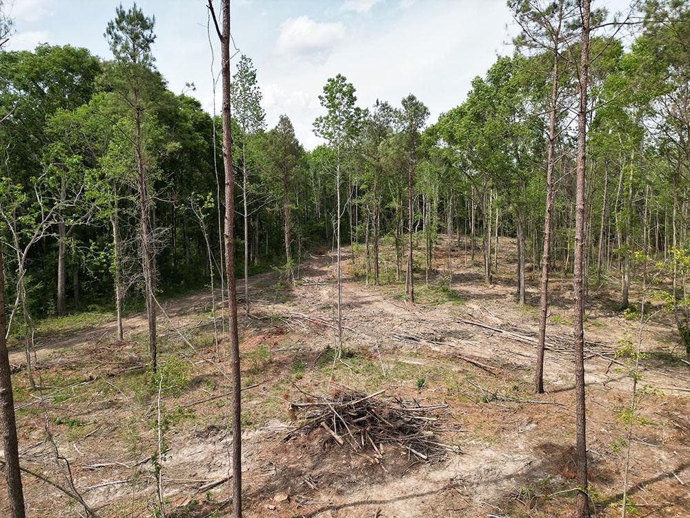 Ellisville, Jones County, MS Recreational Property, Horse Property for