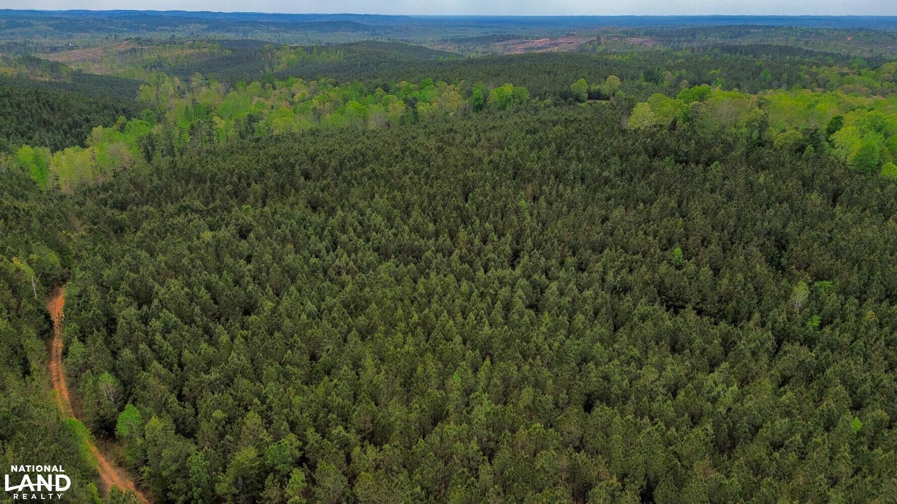 Centreville, Bibb County, AL Recreational Property, Timberland Property