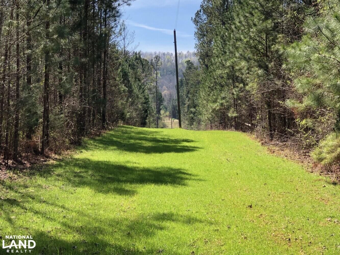 Moulton, Lawrence County, AL Recreational Property, Timberland Property