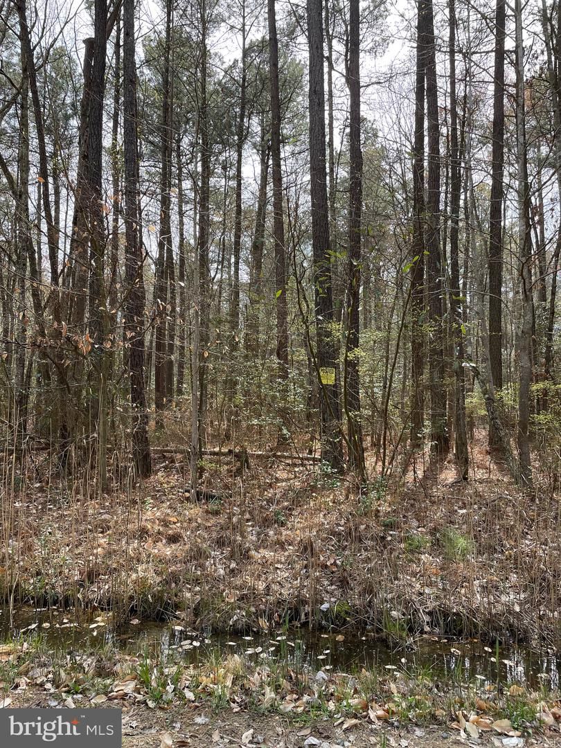 Vienna, Dorchester County, MD Undeveloped Land for sale Property ID
