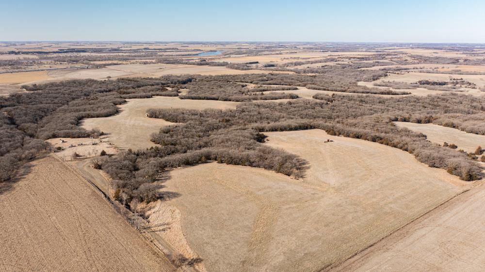 Genoa, Nance County, NE Recreational Property, Timberland Property