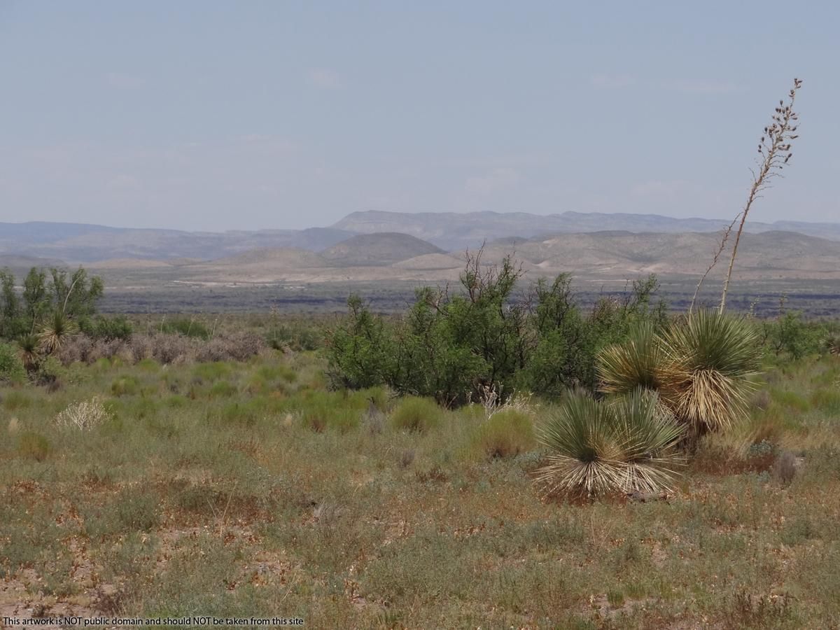 Carrizozo, Lincoln County, NM Recreational Property, Undeveloped Land