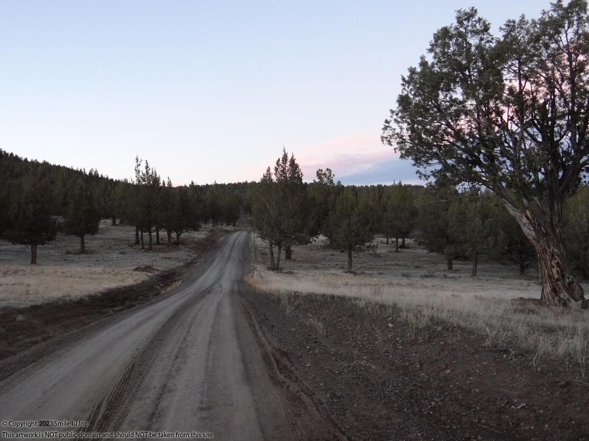 Alturas, Modoc County, CA Recreational Property, Undeveloped Land