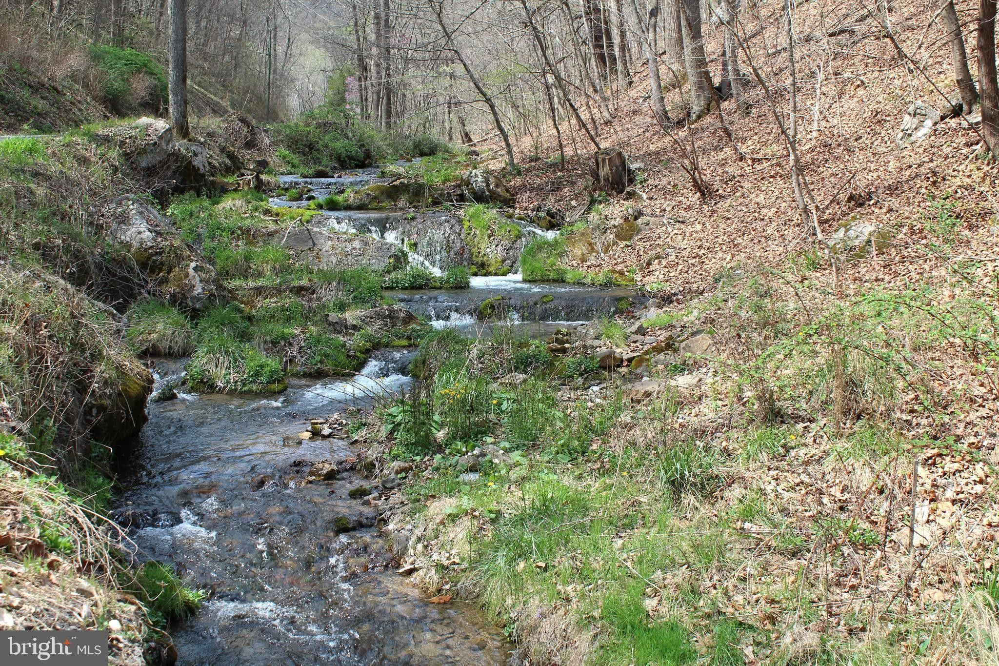 Moorefield, Hardy County, WV Farms and Ranches, Lakefront Property
