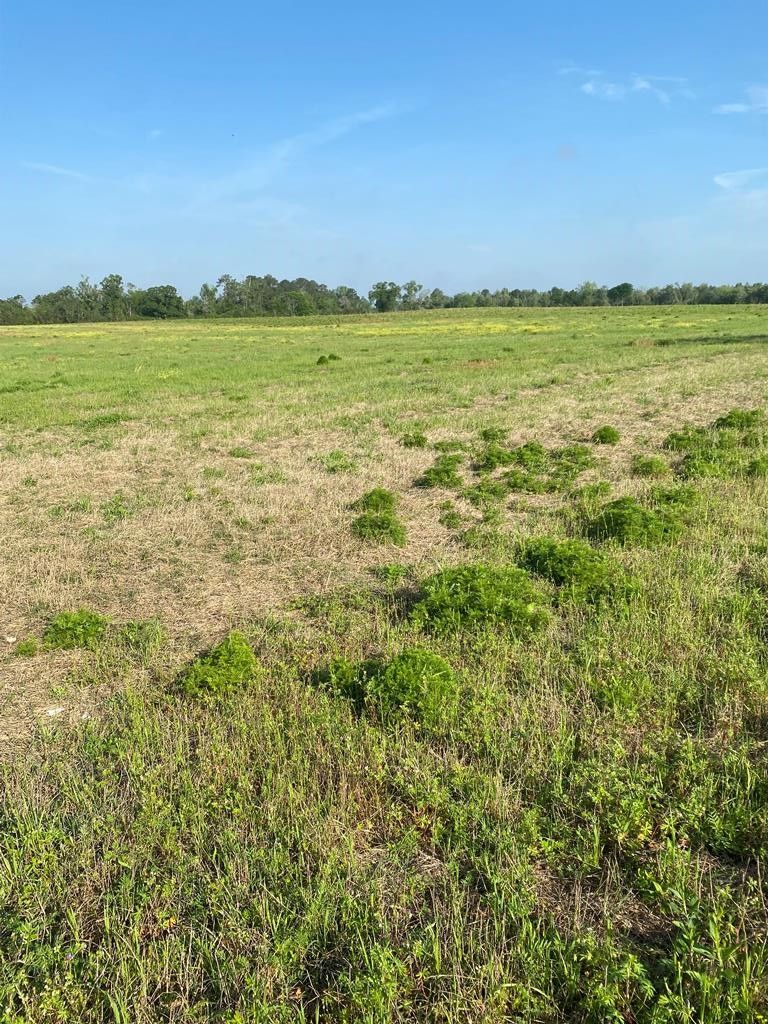 64 Gooseneck Road, Hawkinsville, GA 31036 MLS 57544 LandWatch