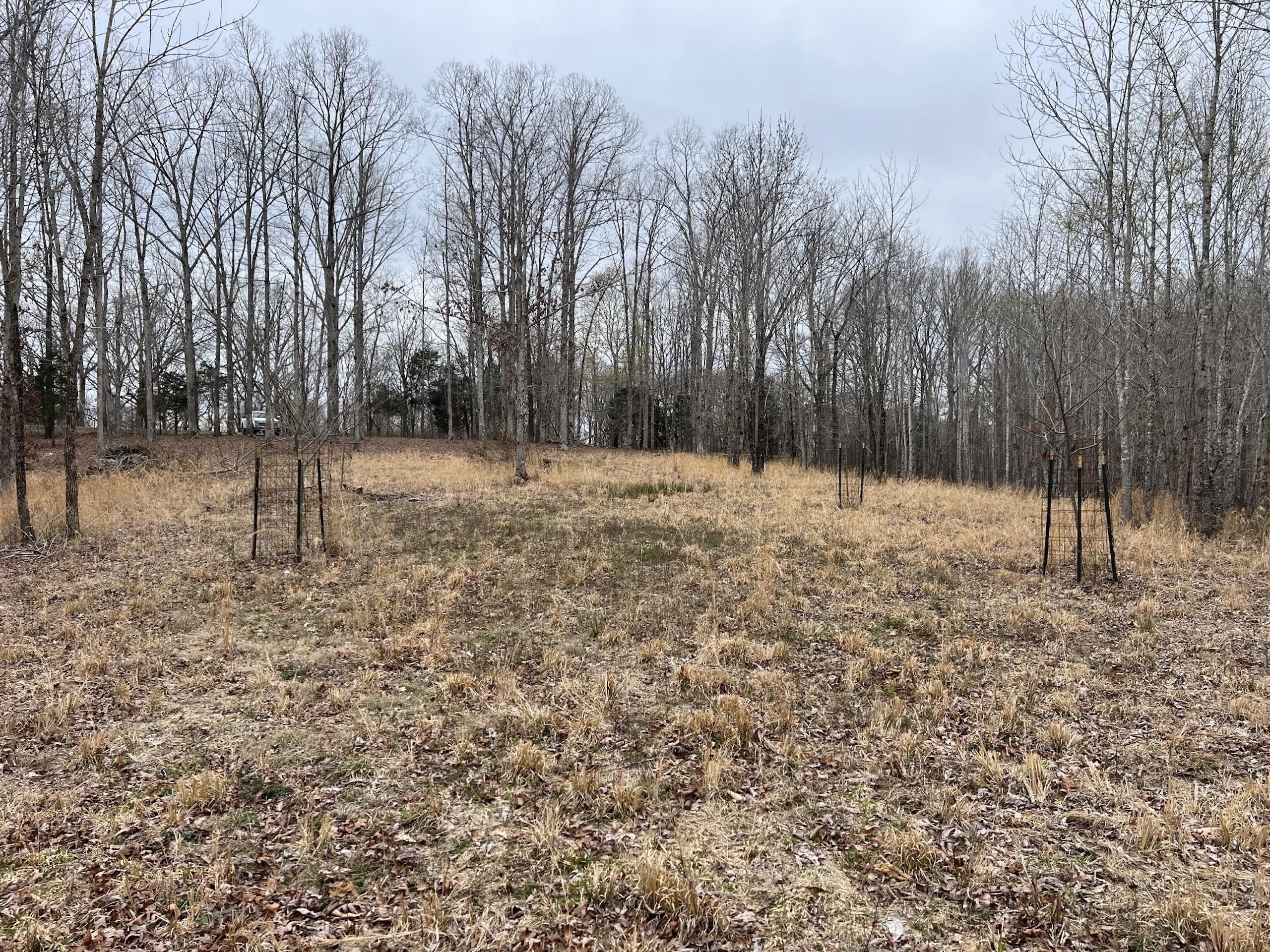 Waverly, Humphreys County, TN Recreational Property, Timberland