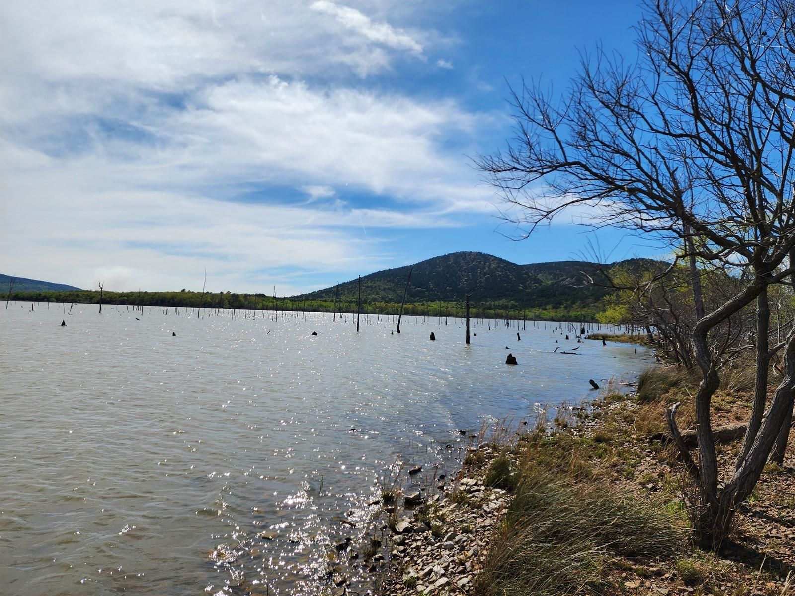 Clayton, Pushmataha County, OK Recreational Property, Undeveloped Land